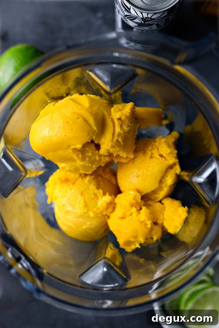 sorbet in blender