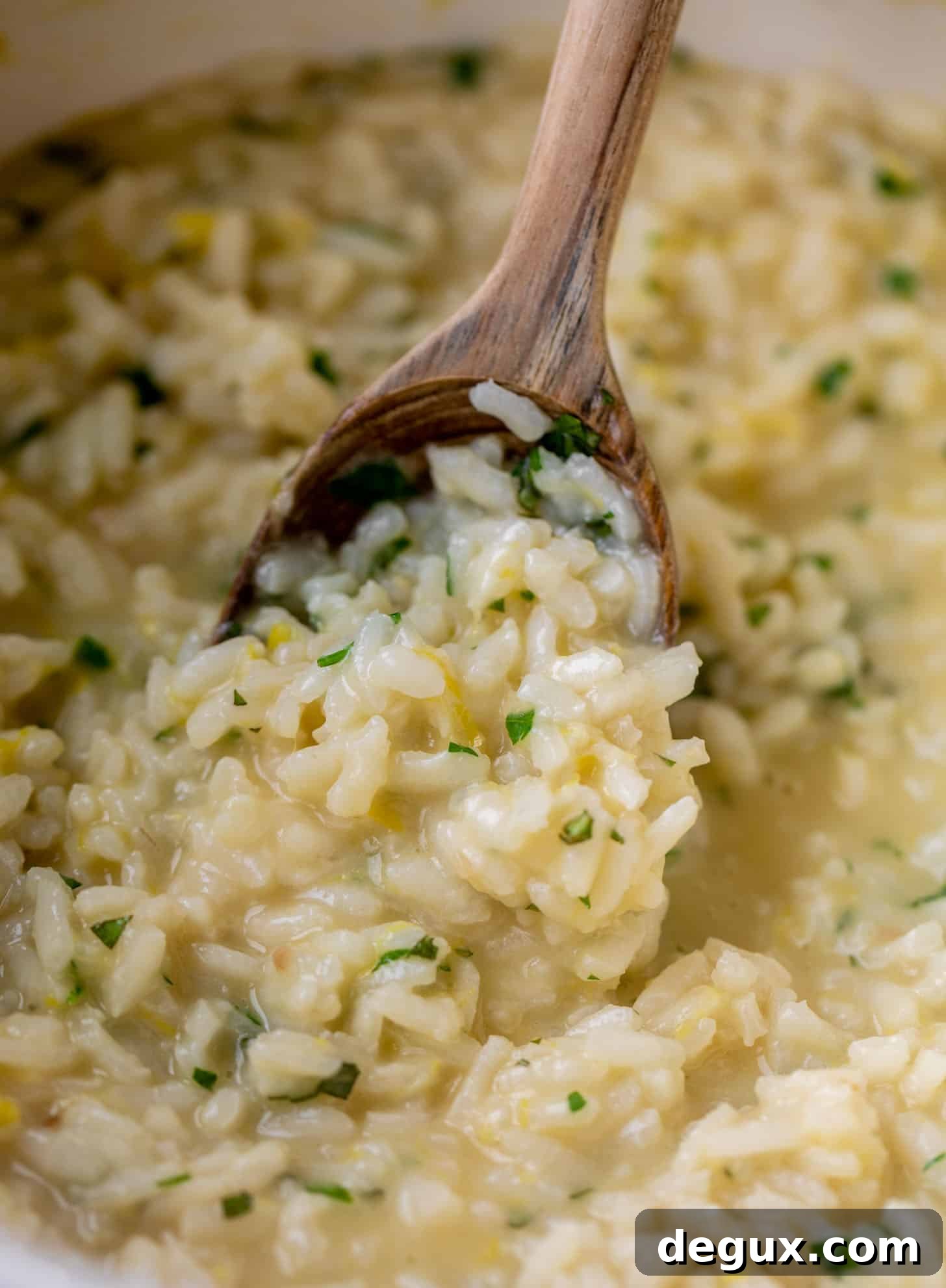 asiago lemon risotto 