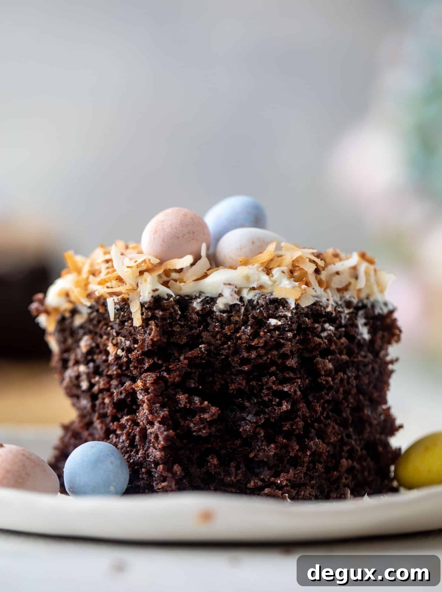 chocolate coconut easter cake