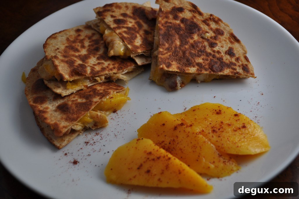 DSC_0035 Chili Mango Chicken Quesadilla