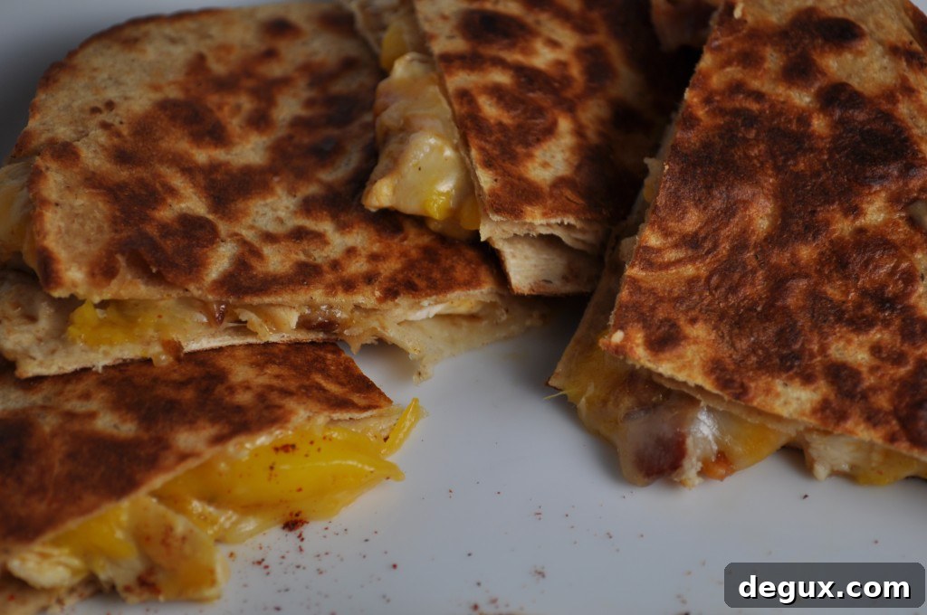 DSC_0039 Quesadilla Slice