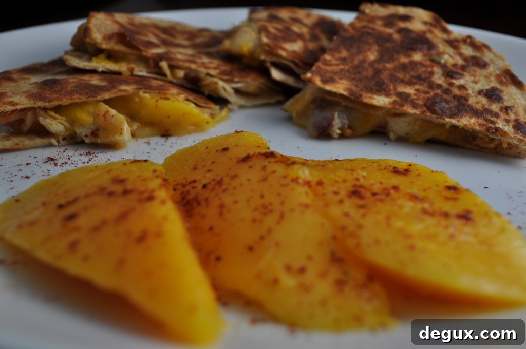 DSC_0050 Finished Quesadilla