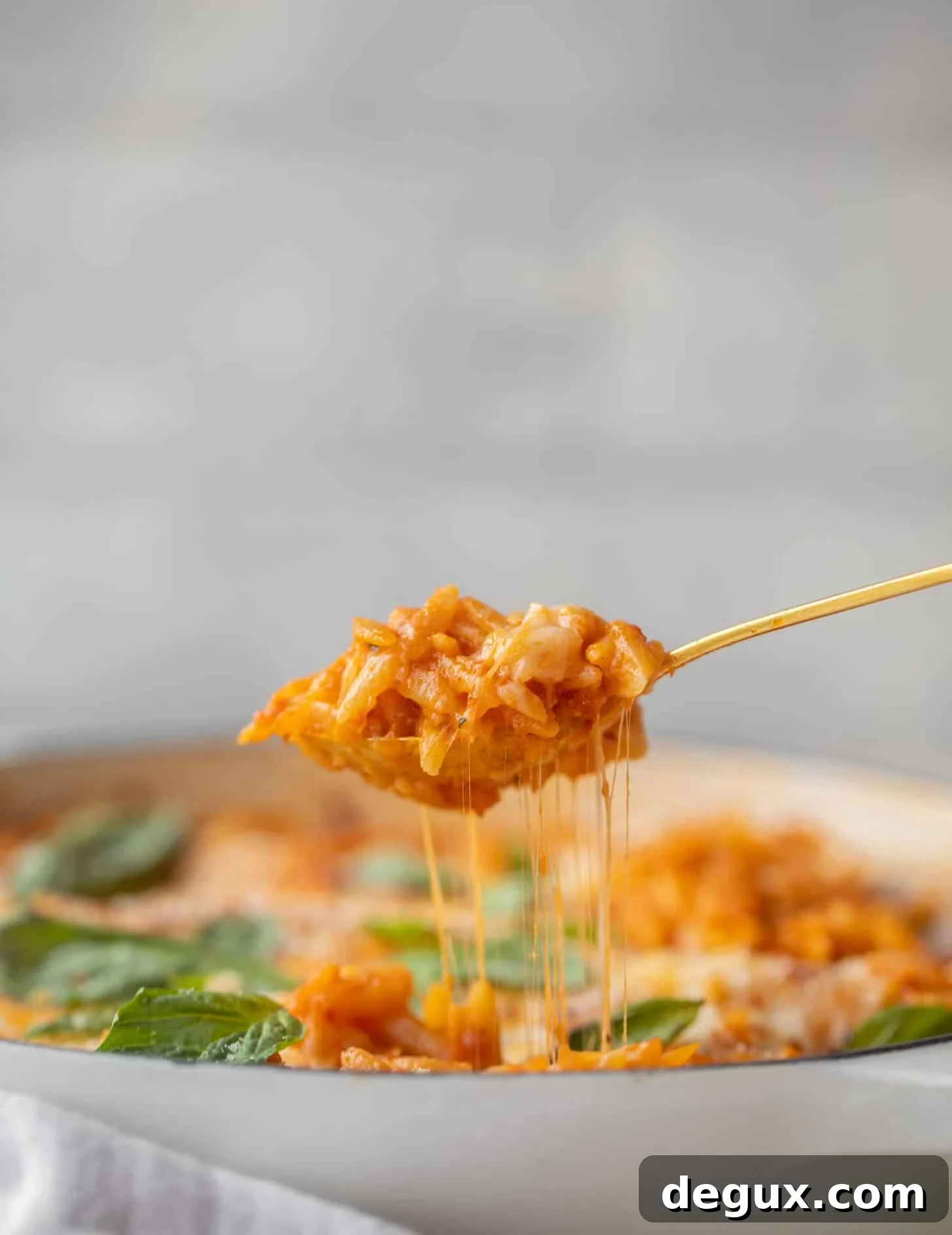 cheesy tomato basil baked orzo