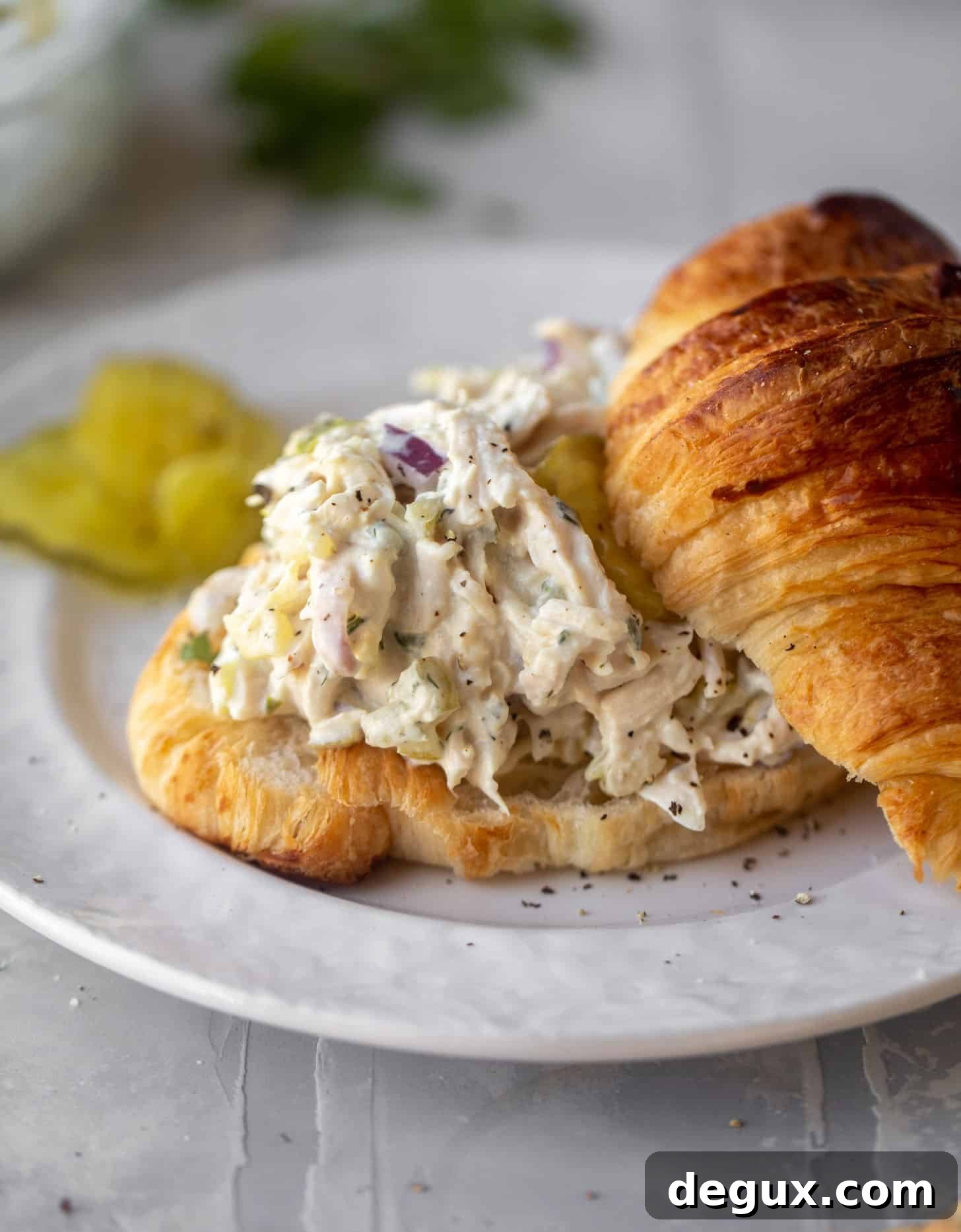dill pickle chicken salad on a croissant