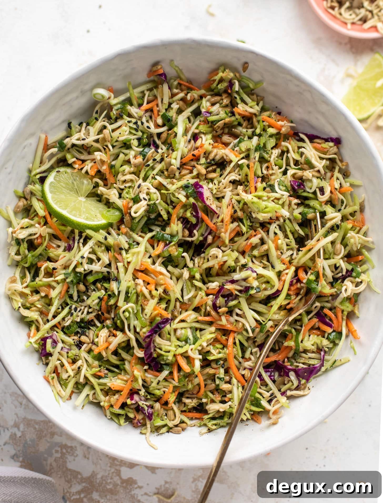 Crunchy Broccoli Slaw That Goes With Any Meal 2 the best broccoli slaw