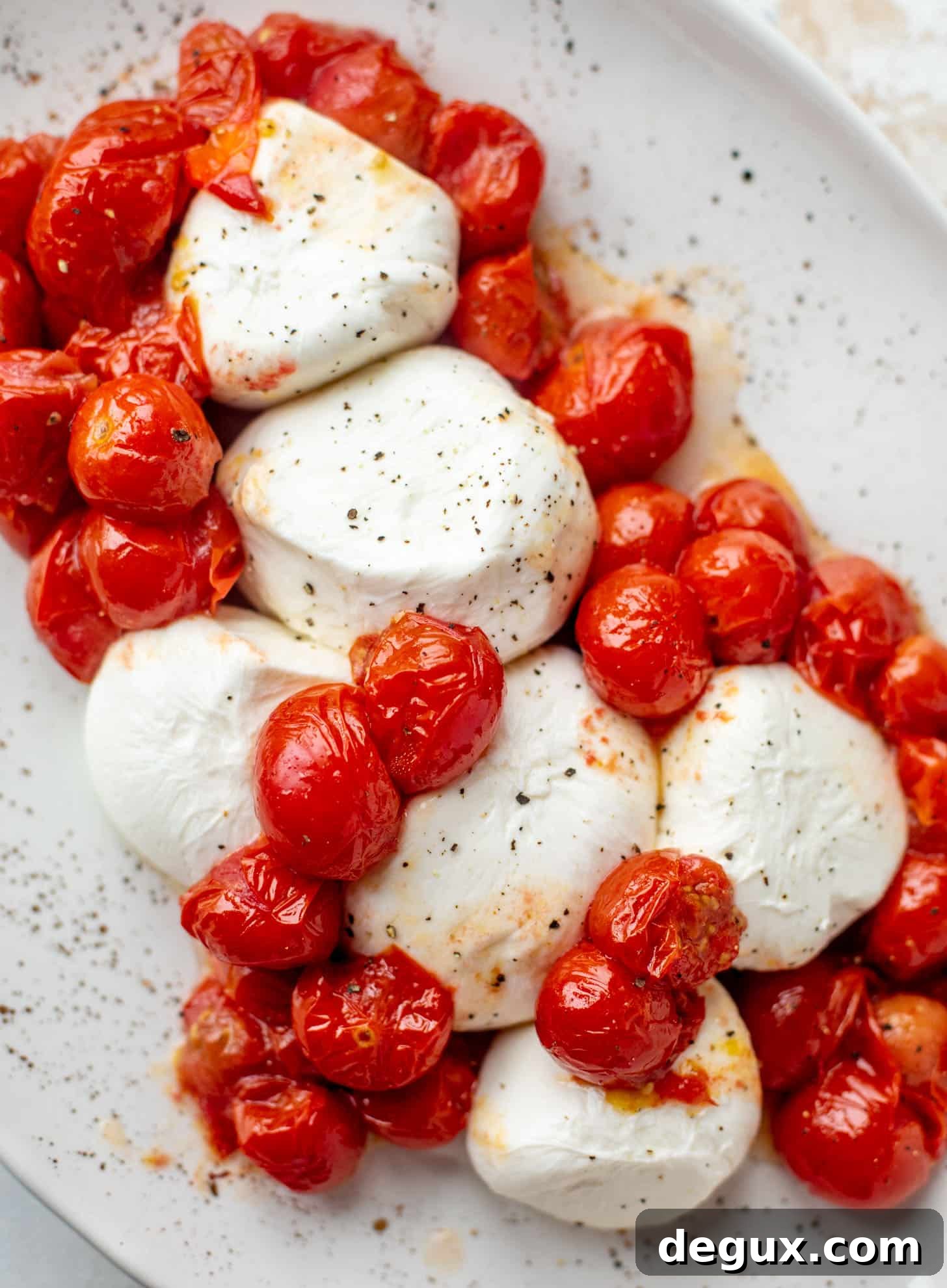 burrata an burst tomatoes