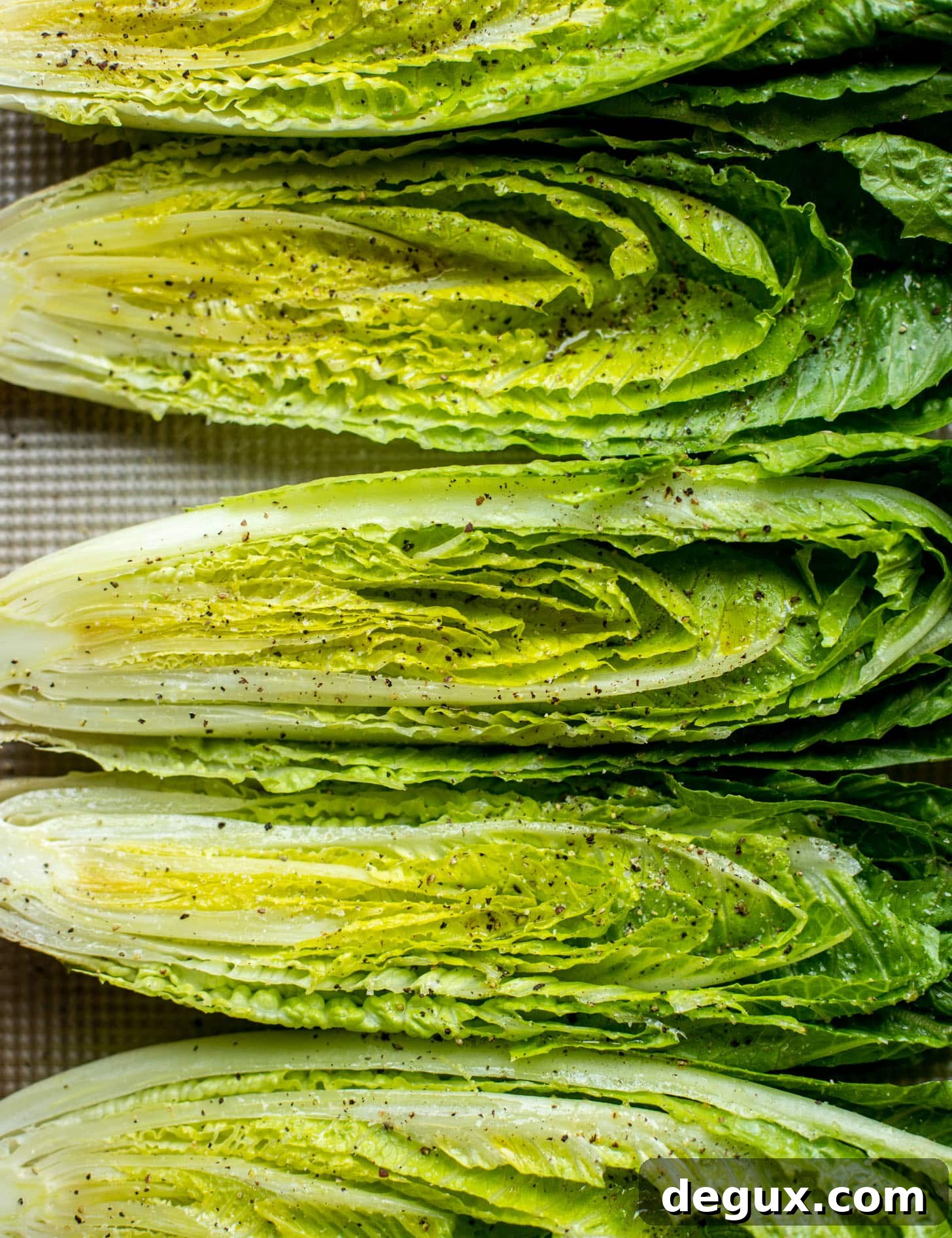 Grilled Romaine Salad Recipes You’ll Crave 3 romaine lettuce