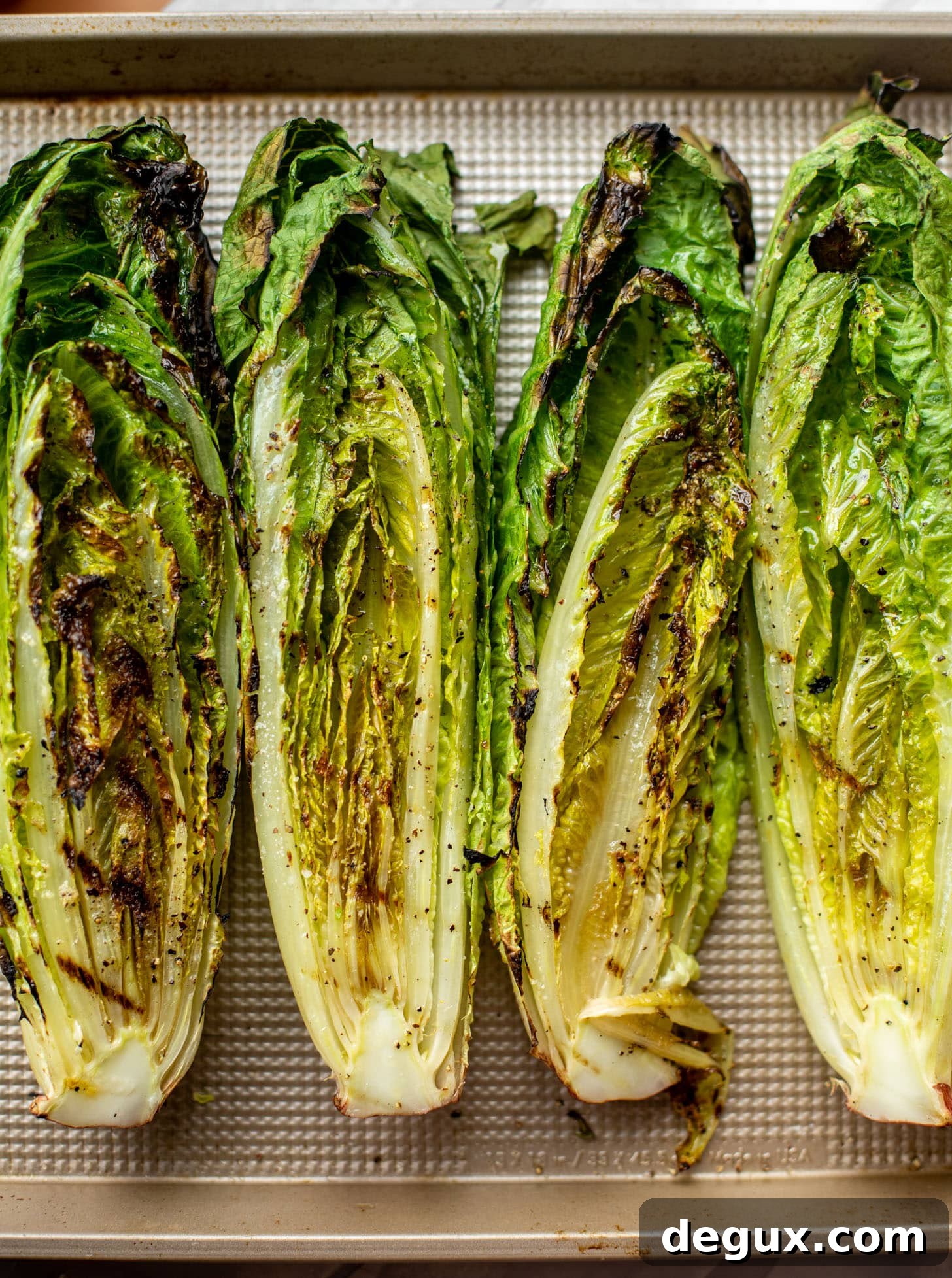 Grilled Romaine Salad Recipes You’ll Crave 4 grilled romaine lettuce