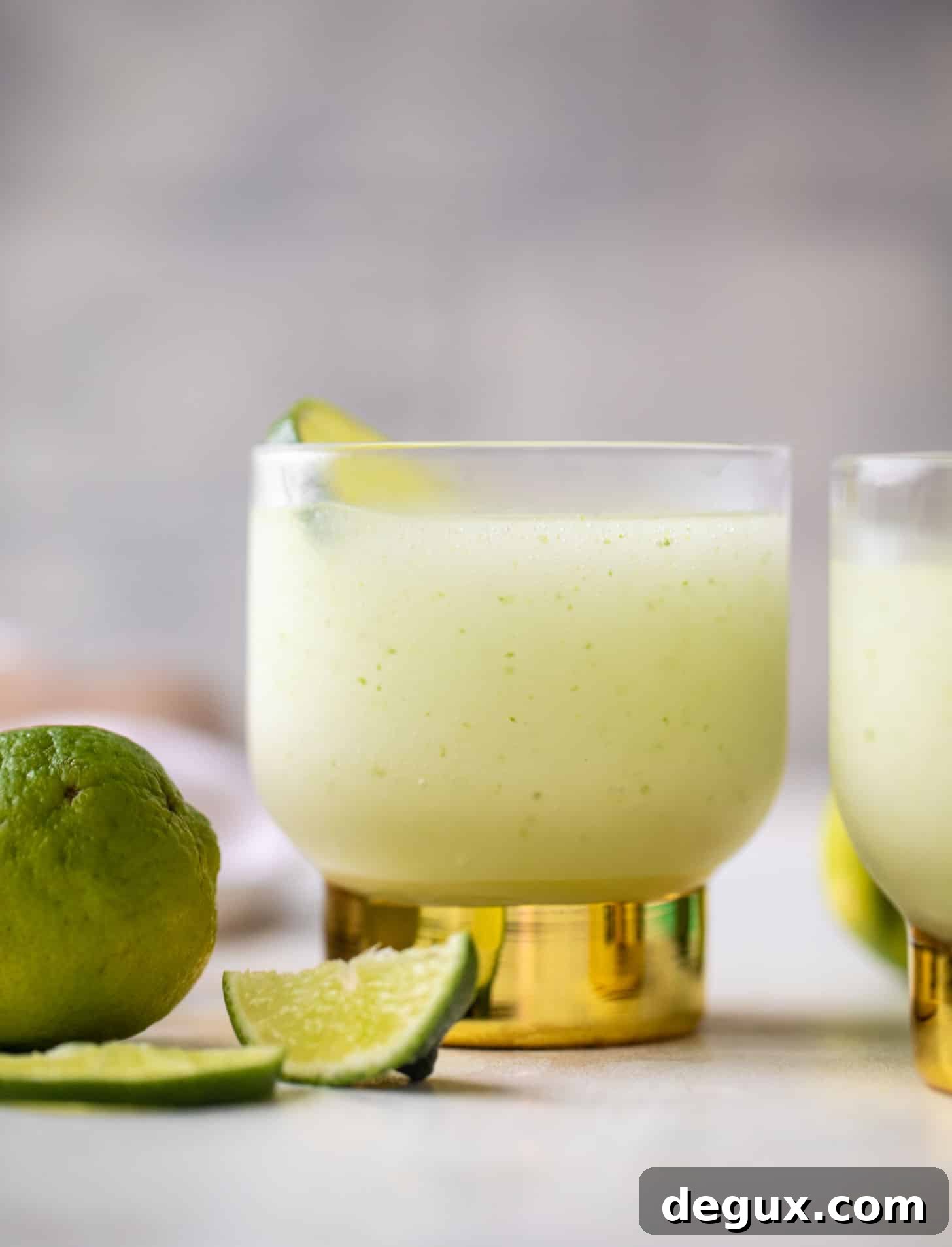 frozen gin and tonics