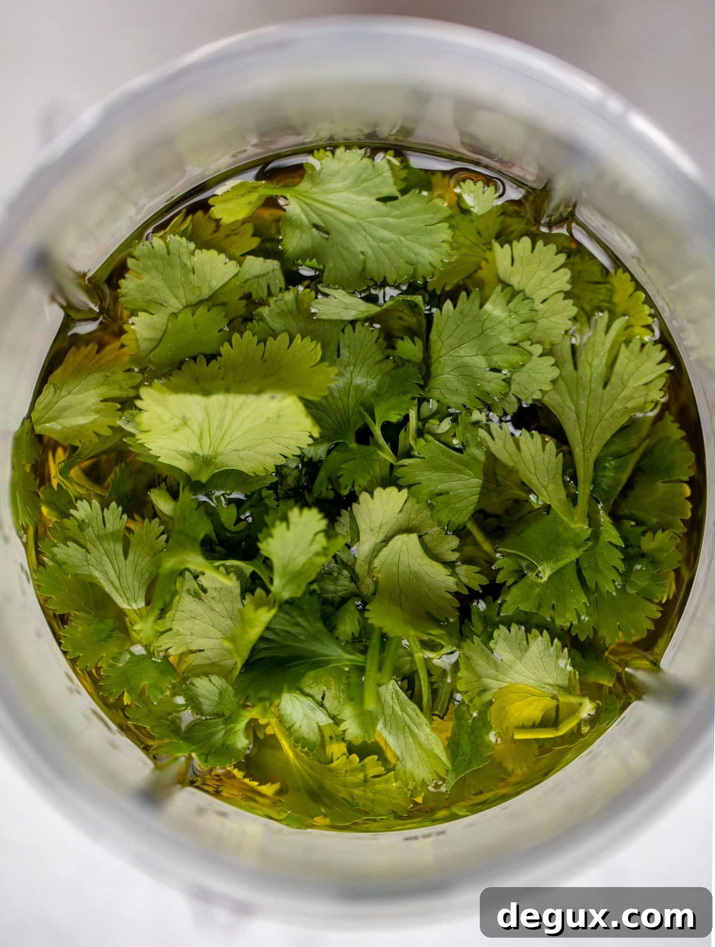 cilantro lime dressing