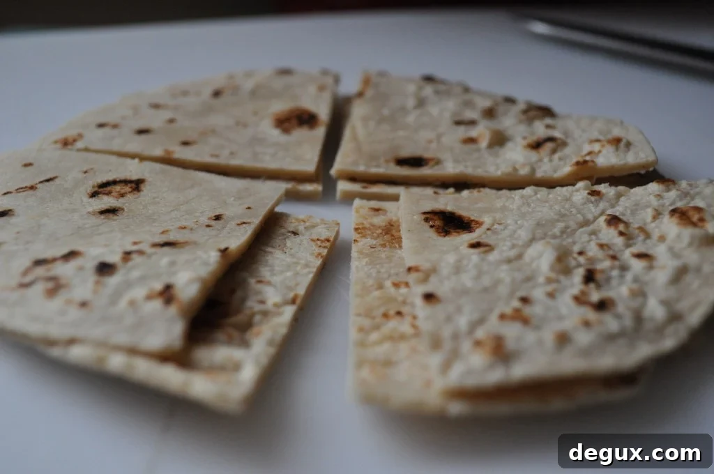 DSC_0124 Parmesan garlic tortilla chips