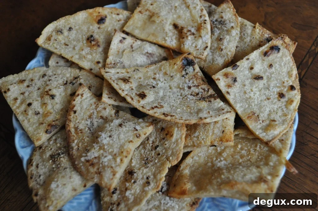 DSC_0144 Baked chips on a tray
