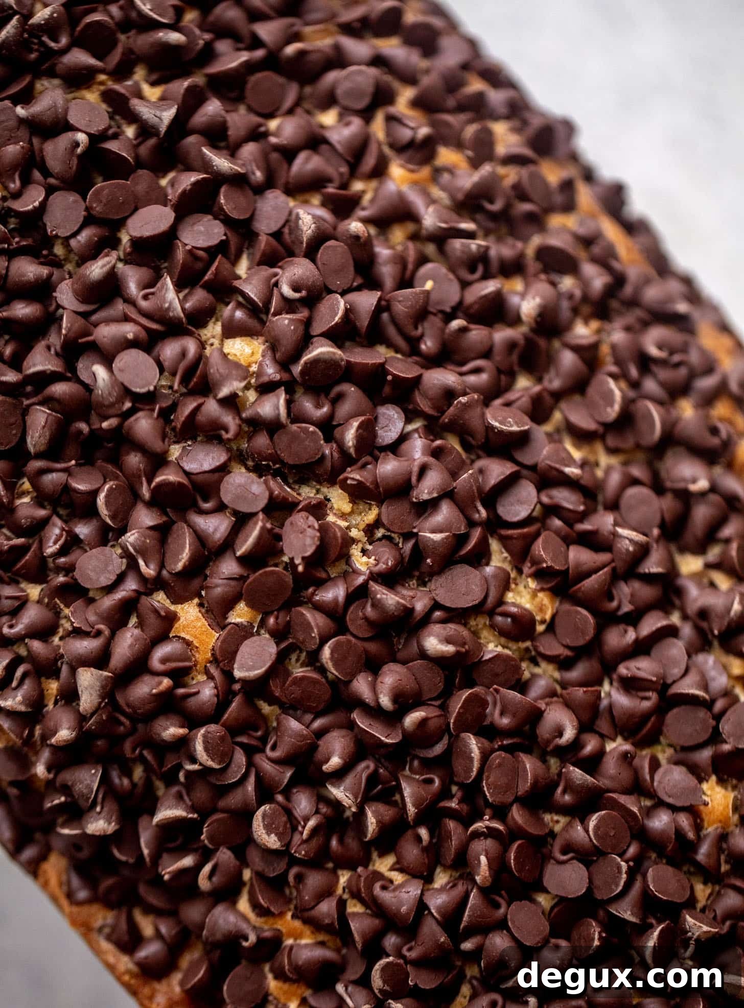Chocolate Chip Crust Zucchini Bread Recipe 6 zucchini bread with chocolate chips