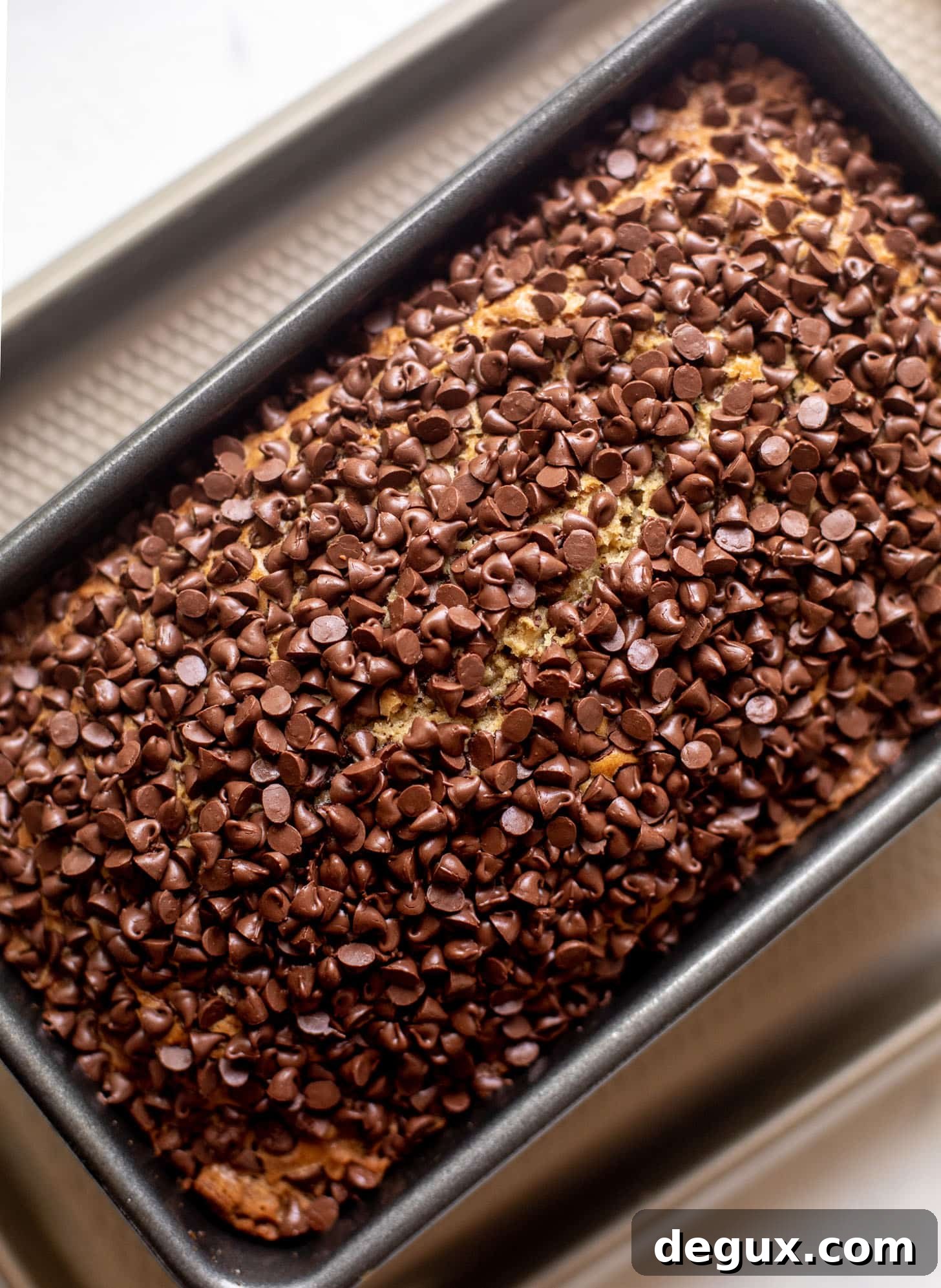 Chocolate Chip Crust Zucchini Bread Recipe 7 zucchini bread with chocolate chips