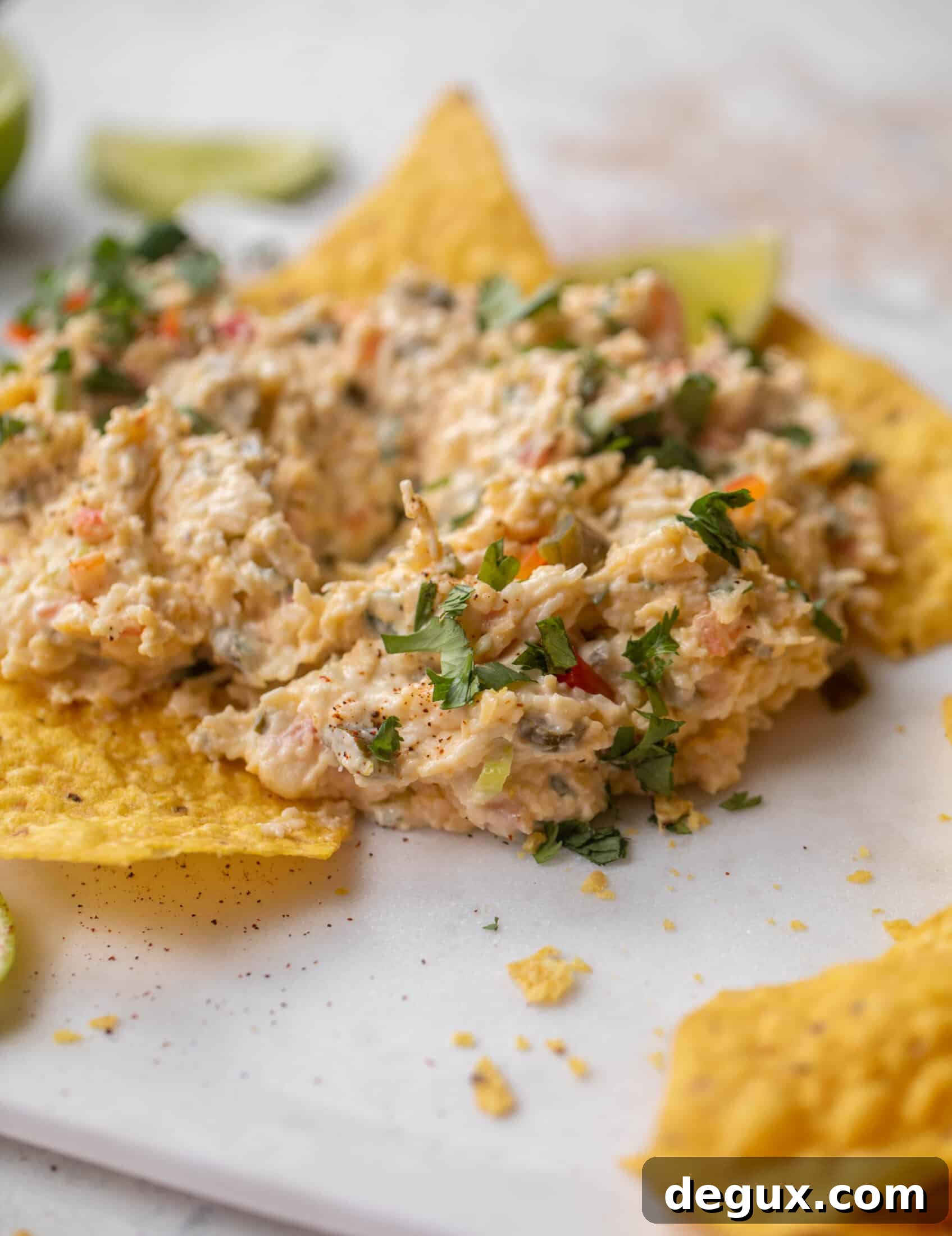 creamy chilled queso dip