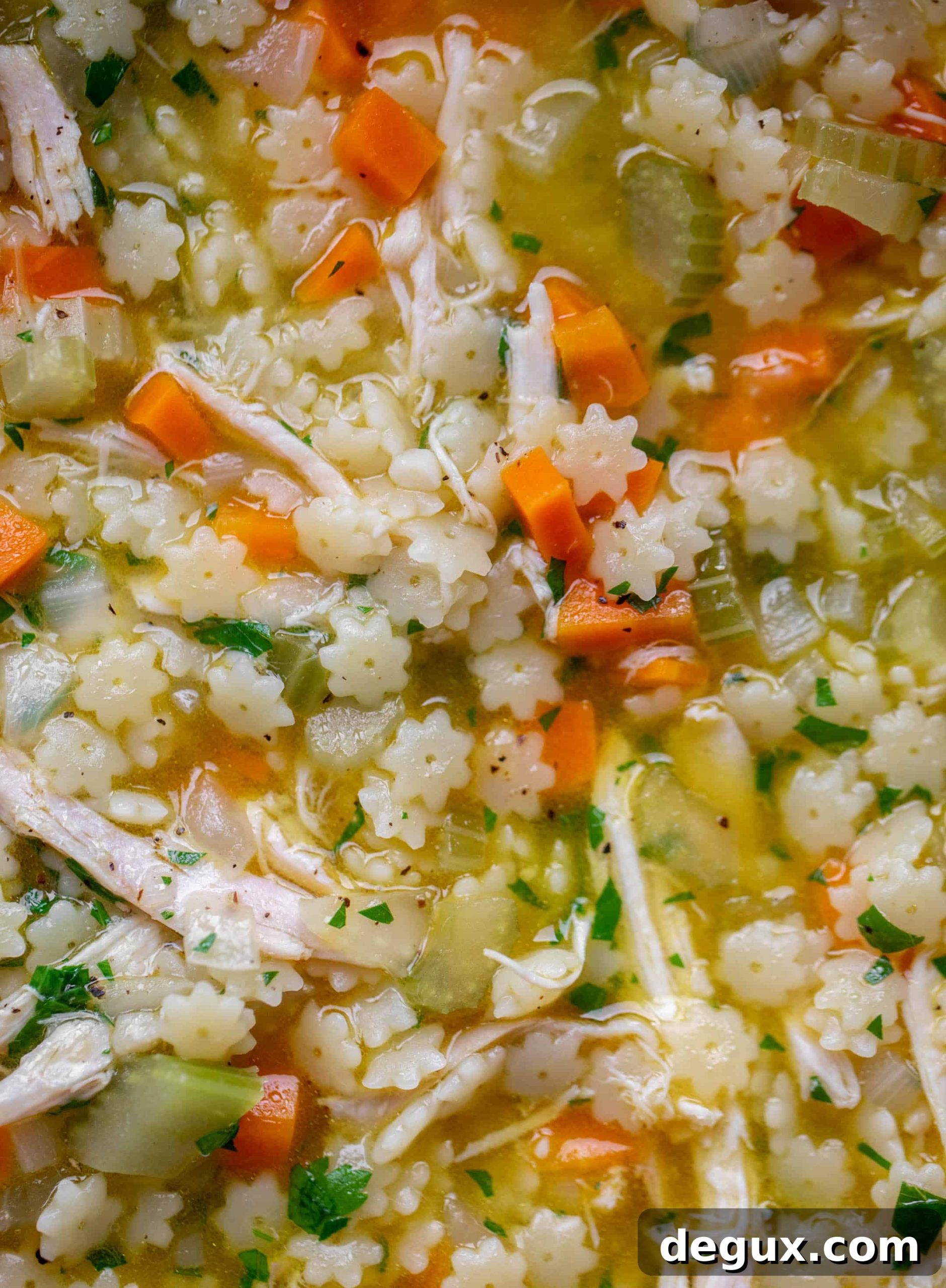 Comforting Chicken and Star Pasta Soup Recipe 6 chicken and stars soup