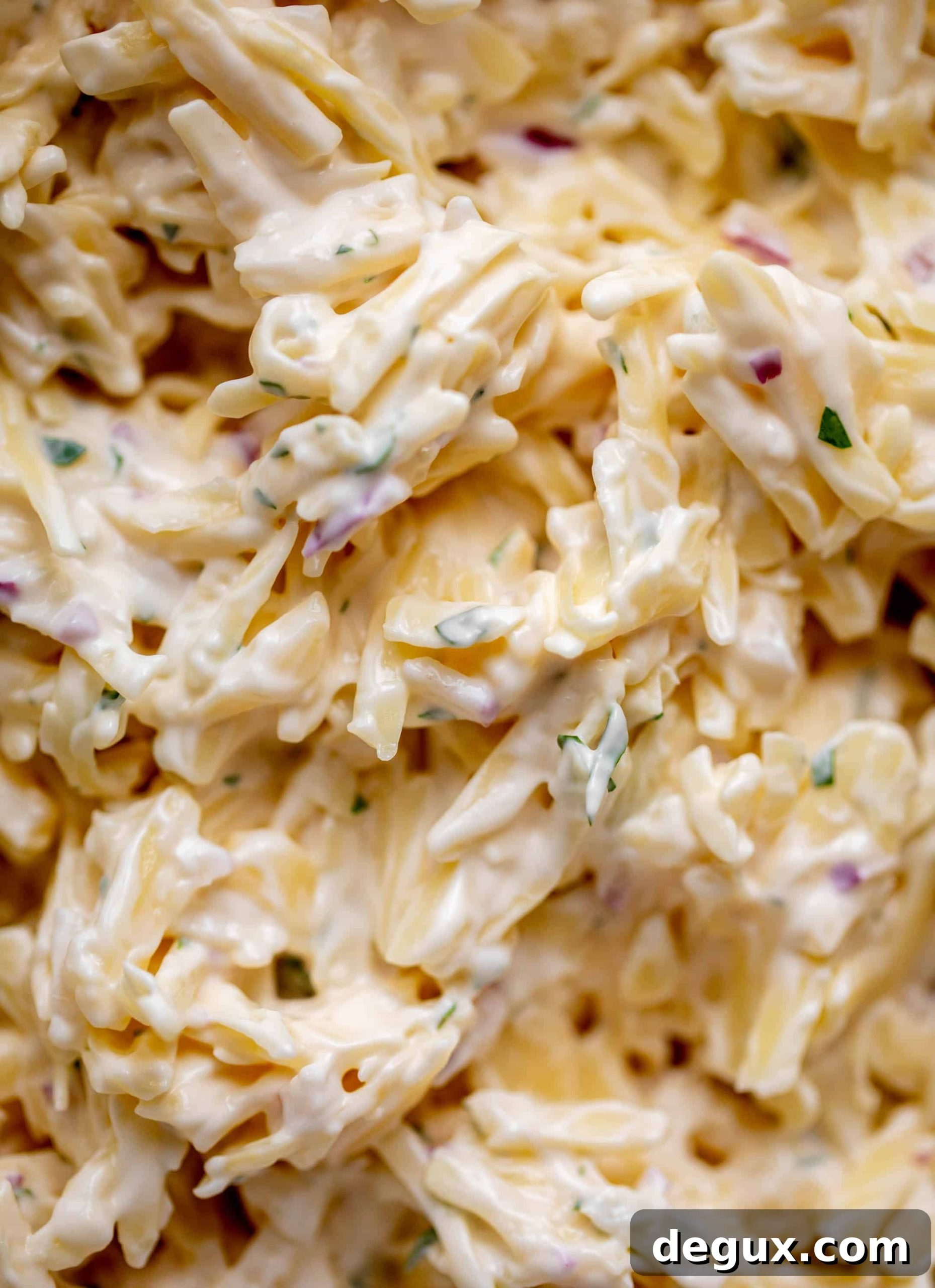 Creamy Jarlsberg Cheese Dip Recipe for Parties and Snacks 6 up close jarlsberg cheese dip