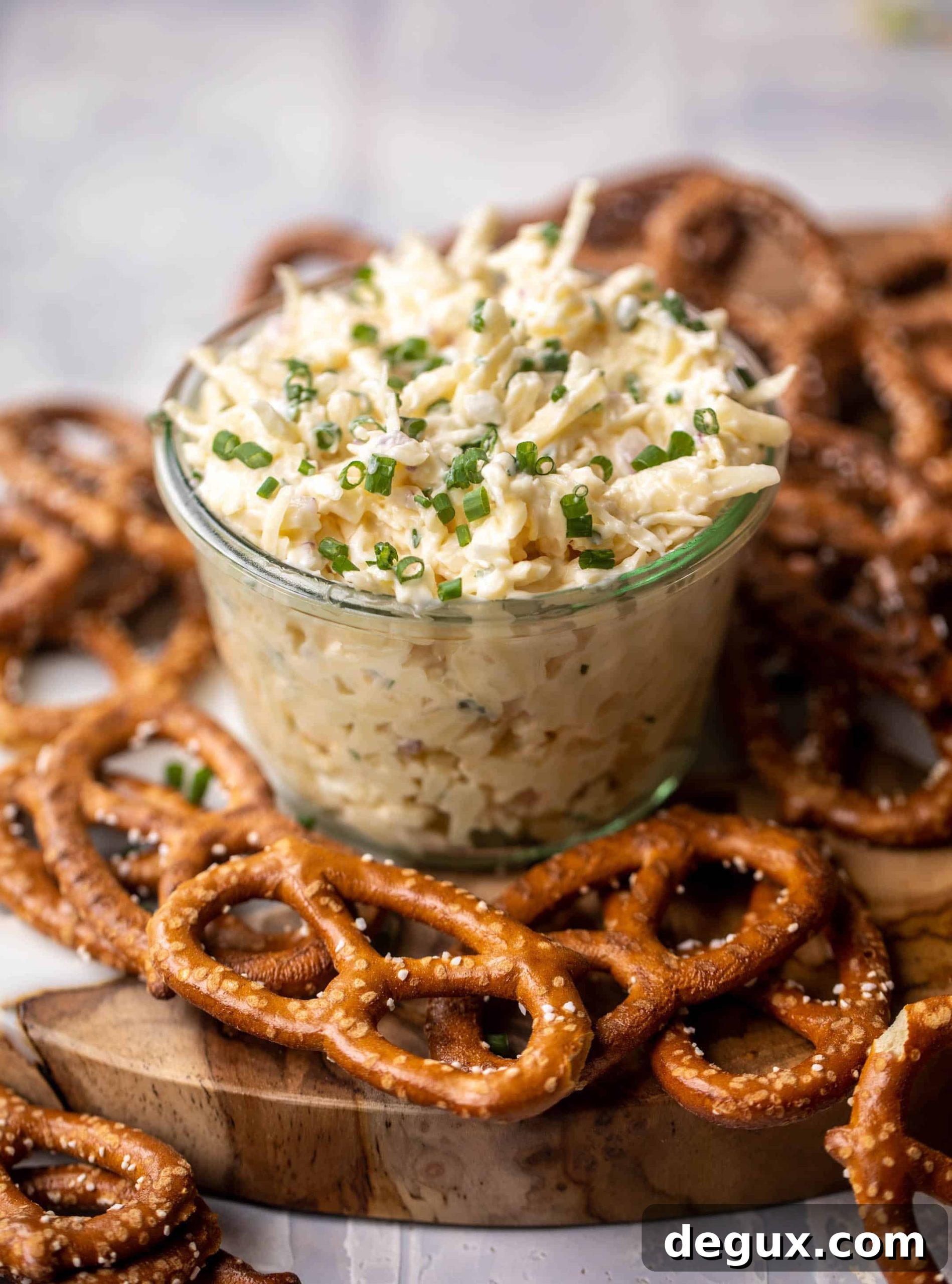 Creamy Jarlsberg Cheese Dip Recipe for Parties and Snacks 10 jarlsberg cheese dip