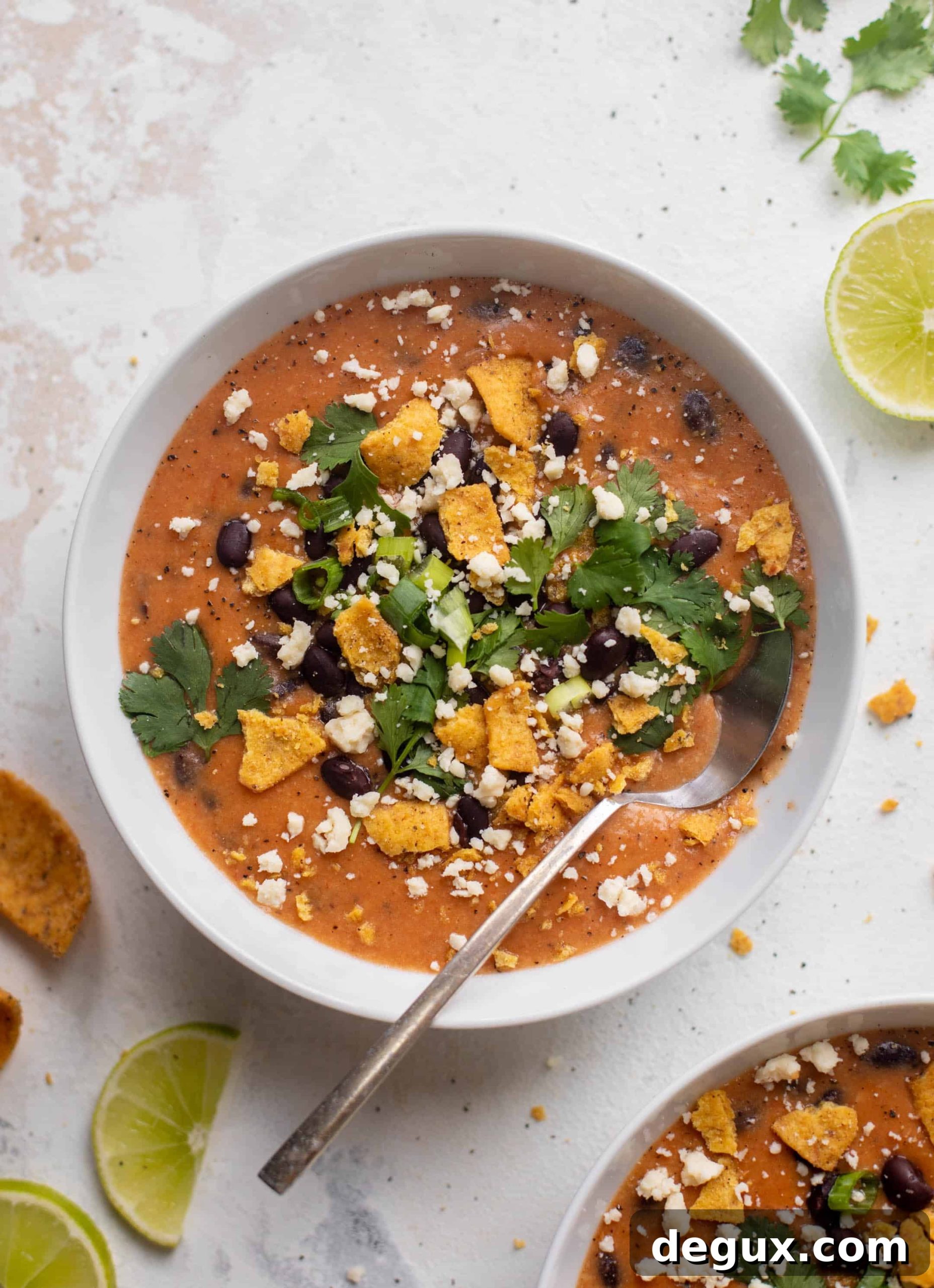 fire-roasted black bean tortilla soup