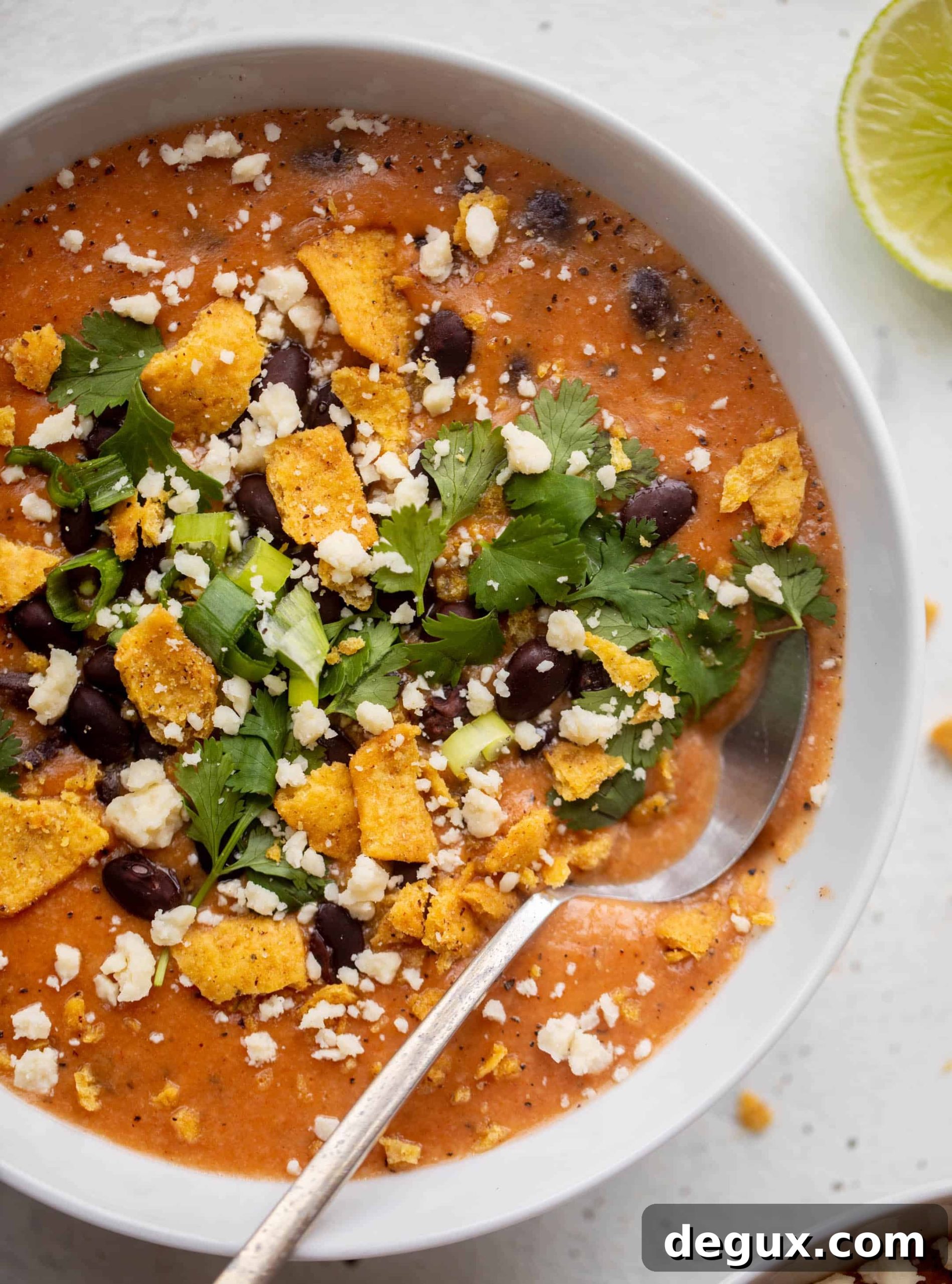 fire-roasted black bean tortilla soup