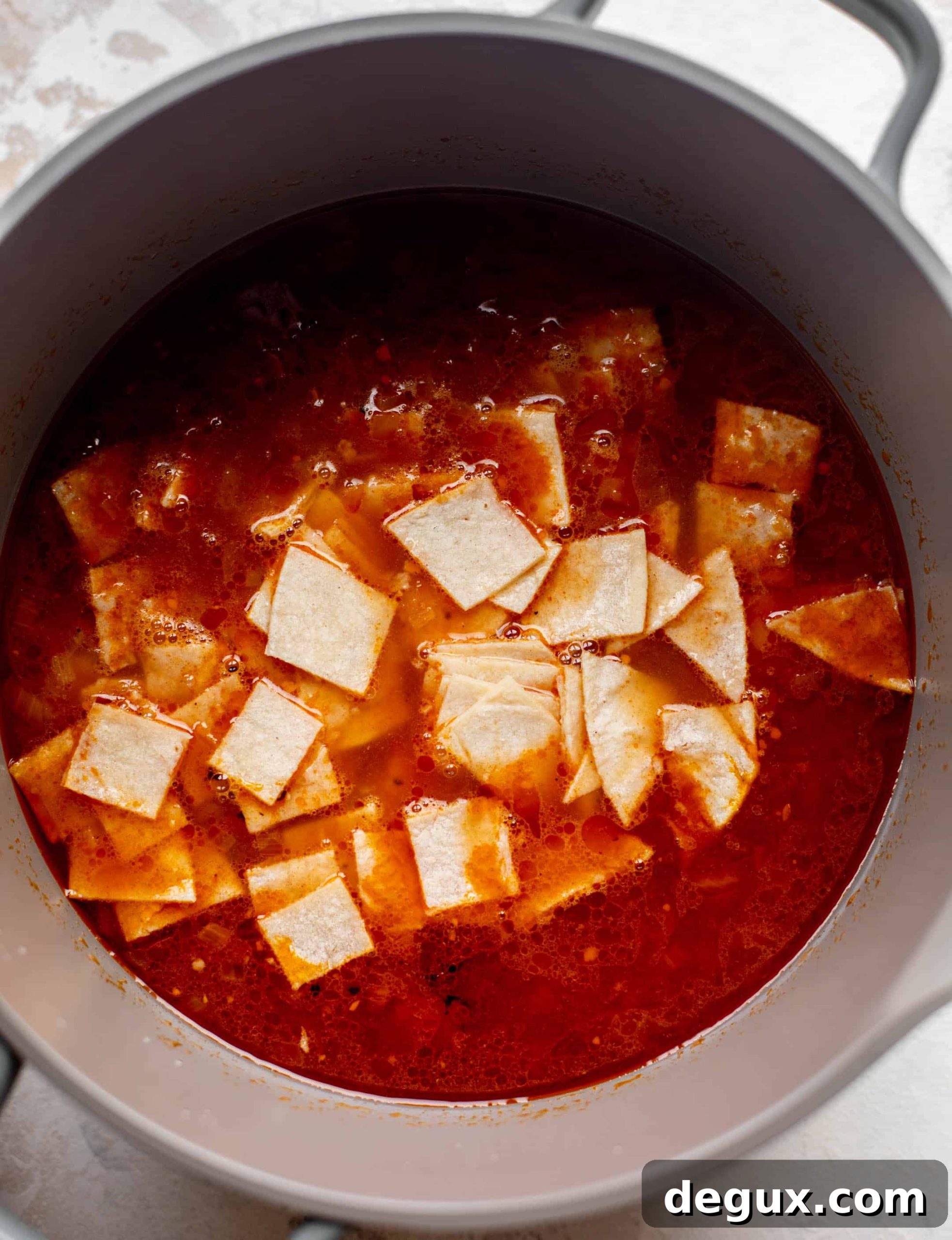 tortilla soup base with chopped tortillas