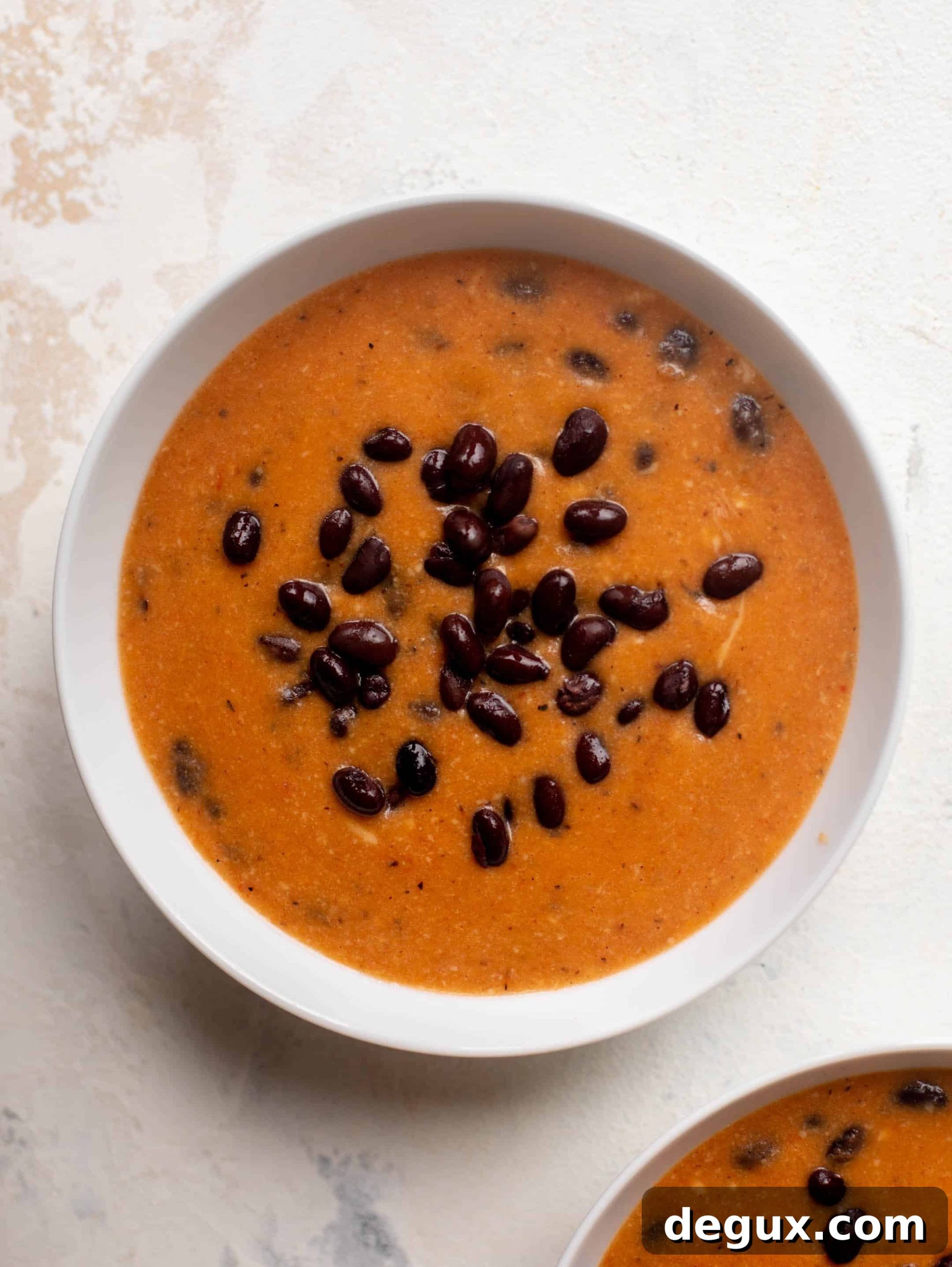 fire-roasted black bean tortilla soup