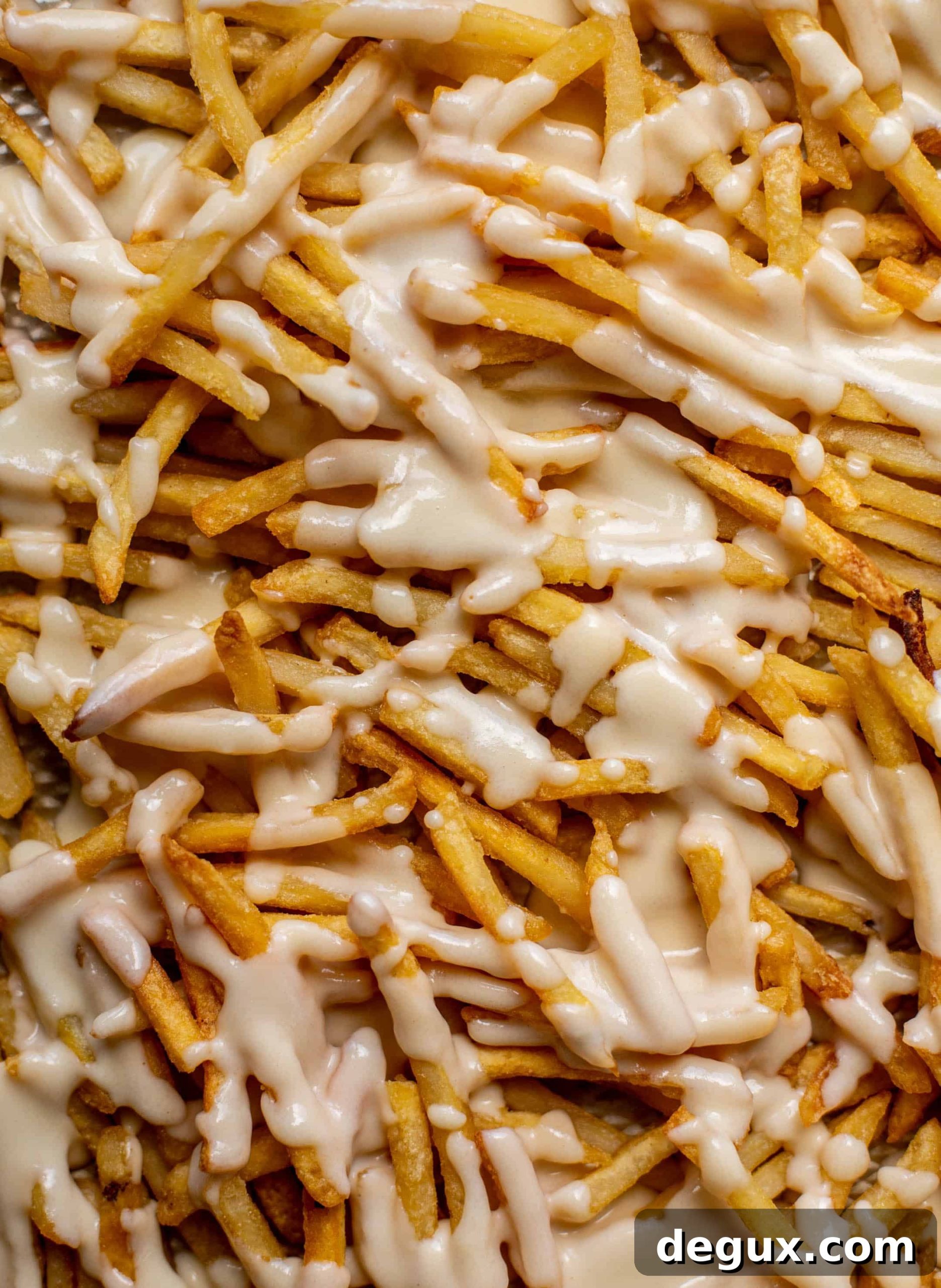 fries with cheese sauce