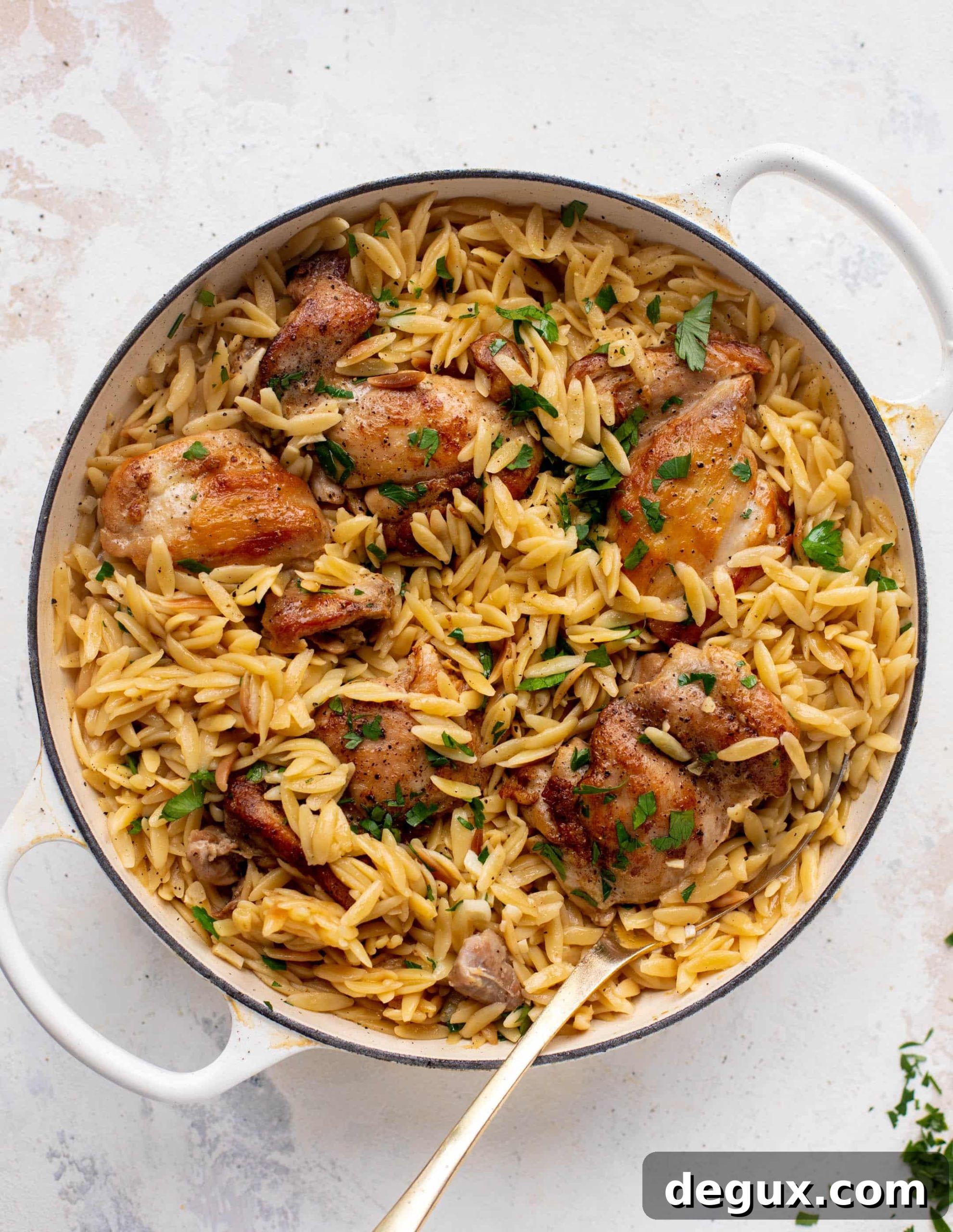 One-Pot Garlic Butter Chicken Orzo Recipe 7 one pot garlic butter chicken orzo