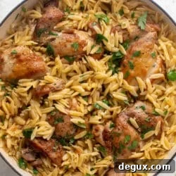 One-Pot Garlic Butter Chicken Orzo Recipe 9 img 83727 8
