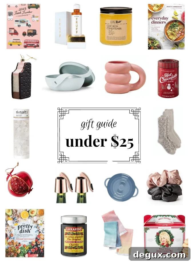 under $25 gift guide