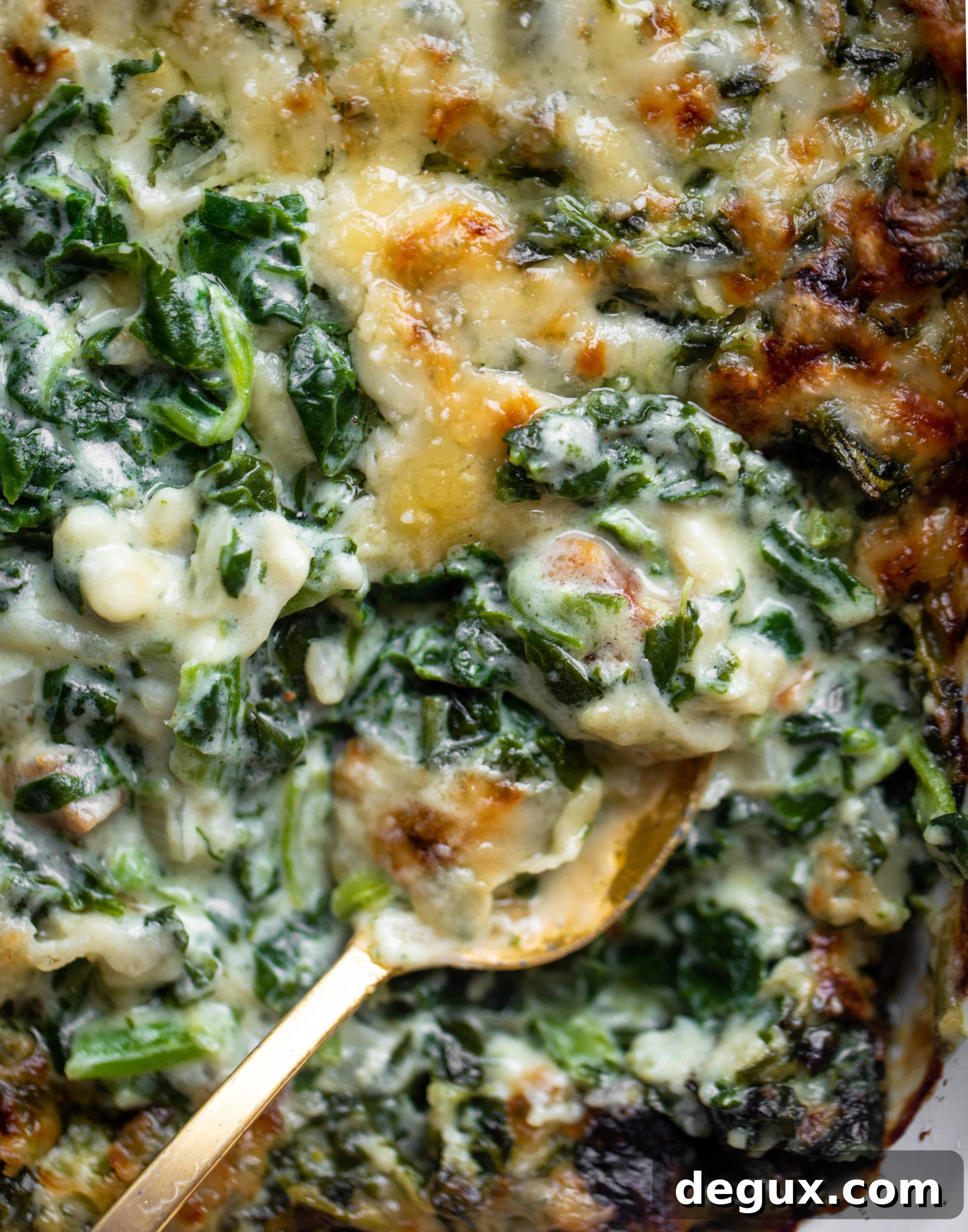 spinach gratin recipe