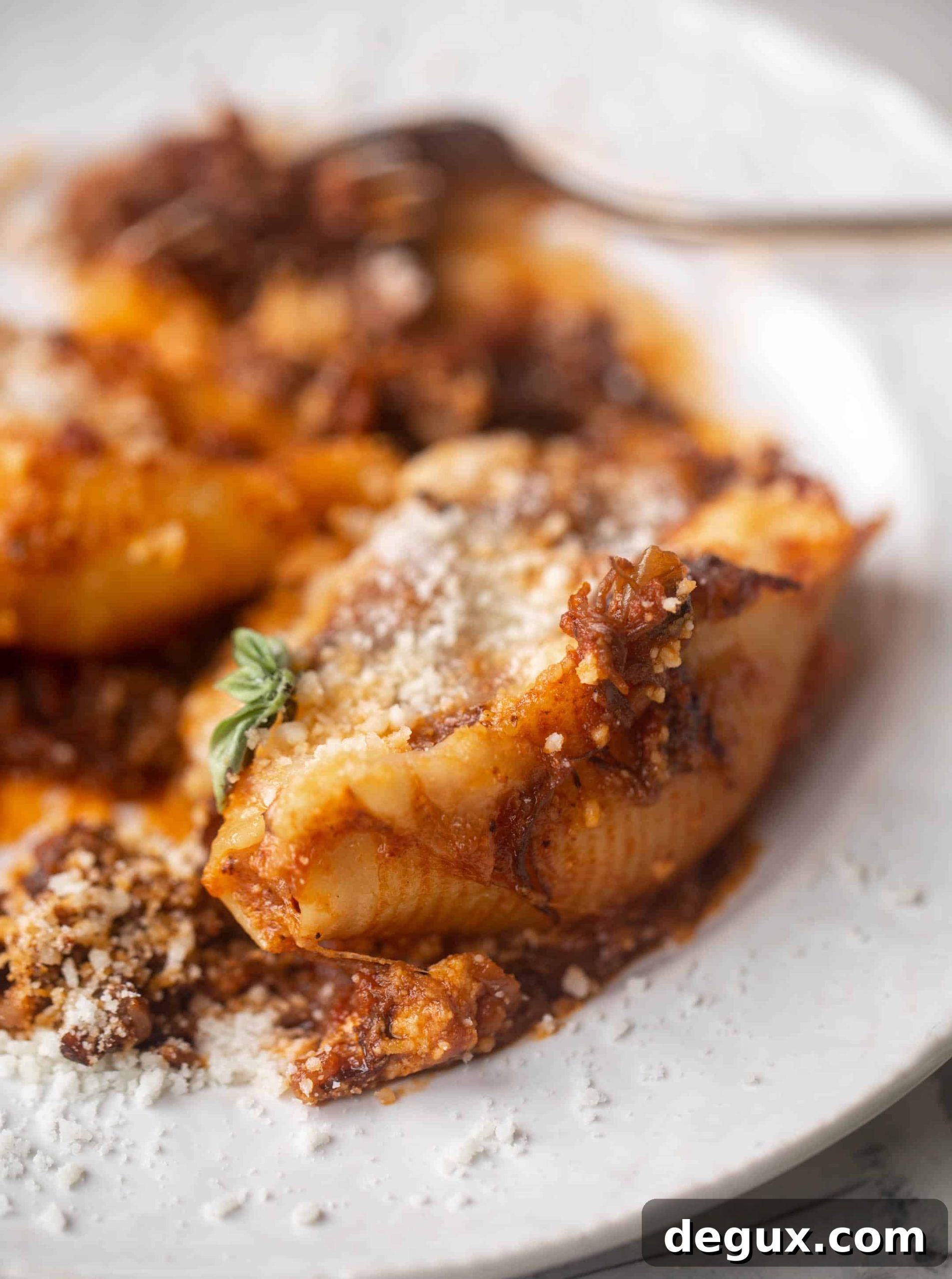 short rib stuffed shells
