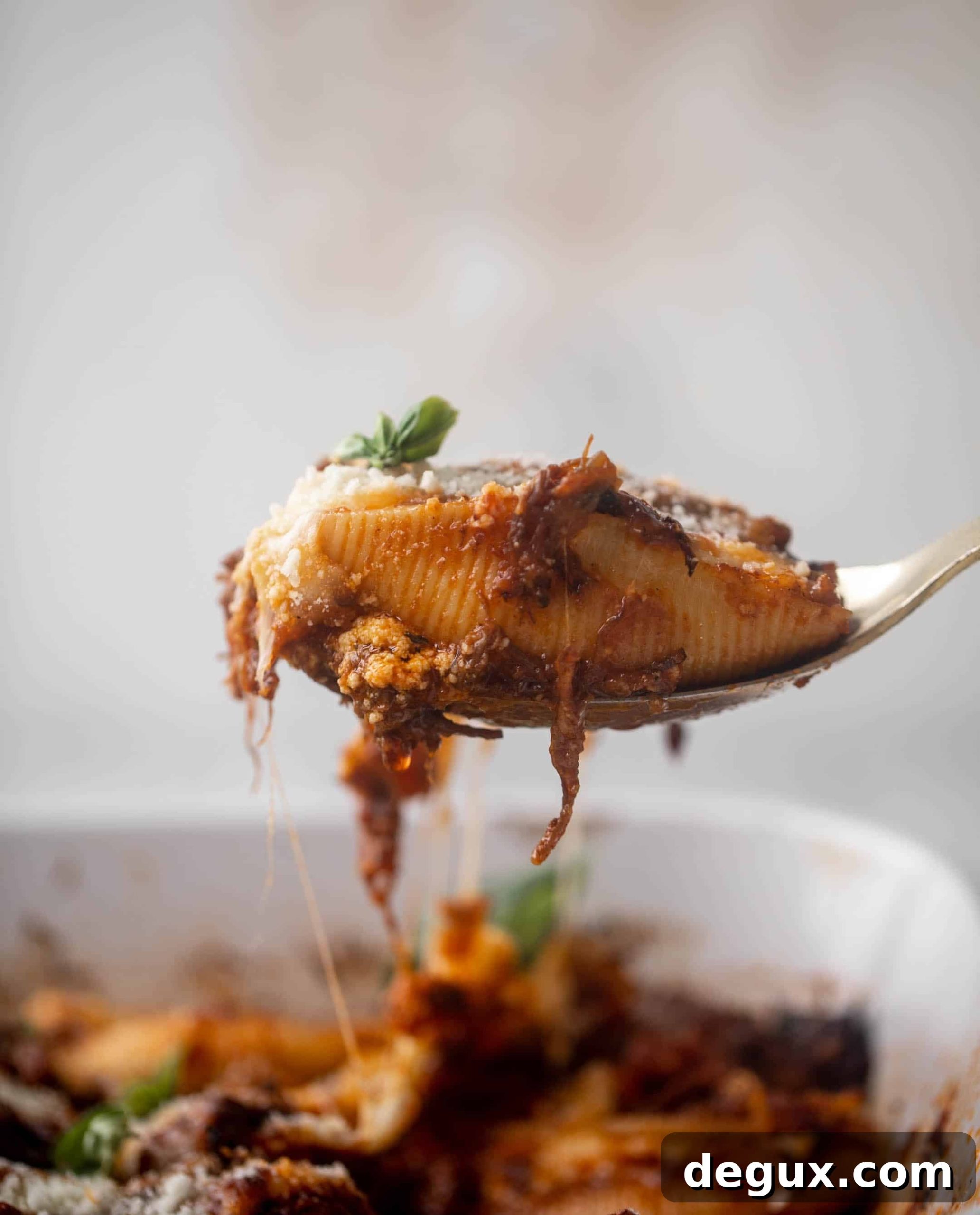 short rib stuffed shells