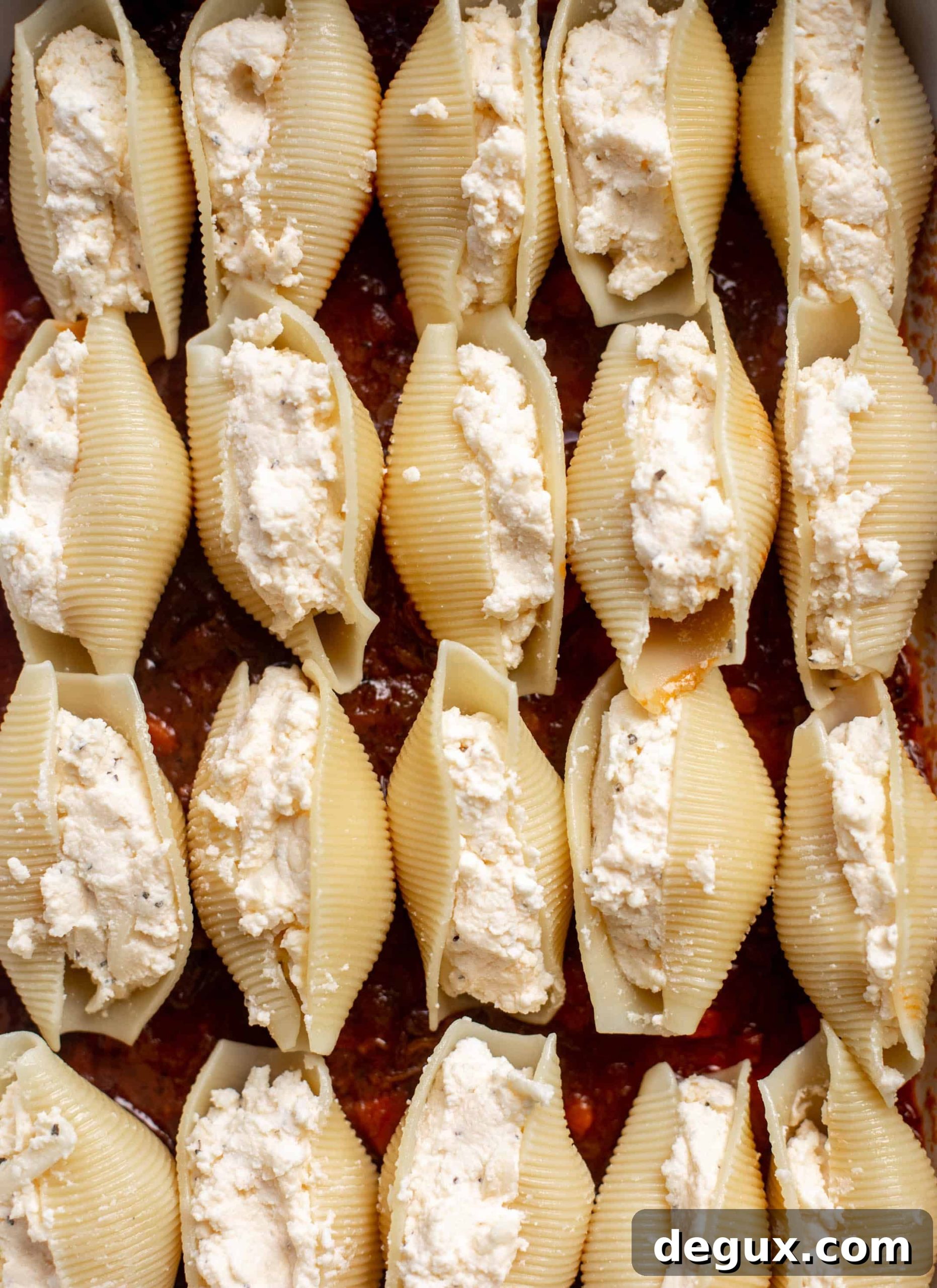 pasta shells stuffed with ricotta