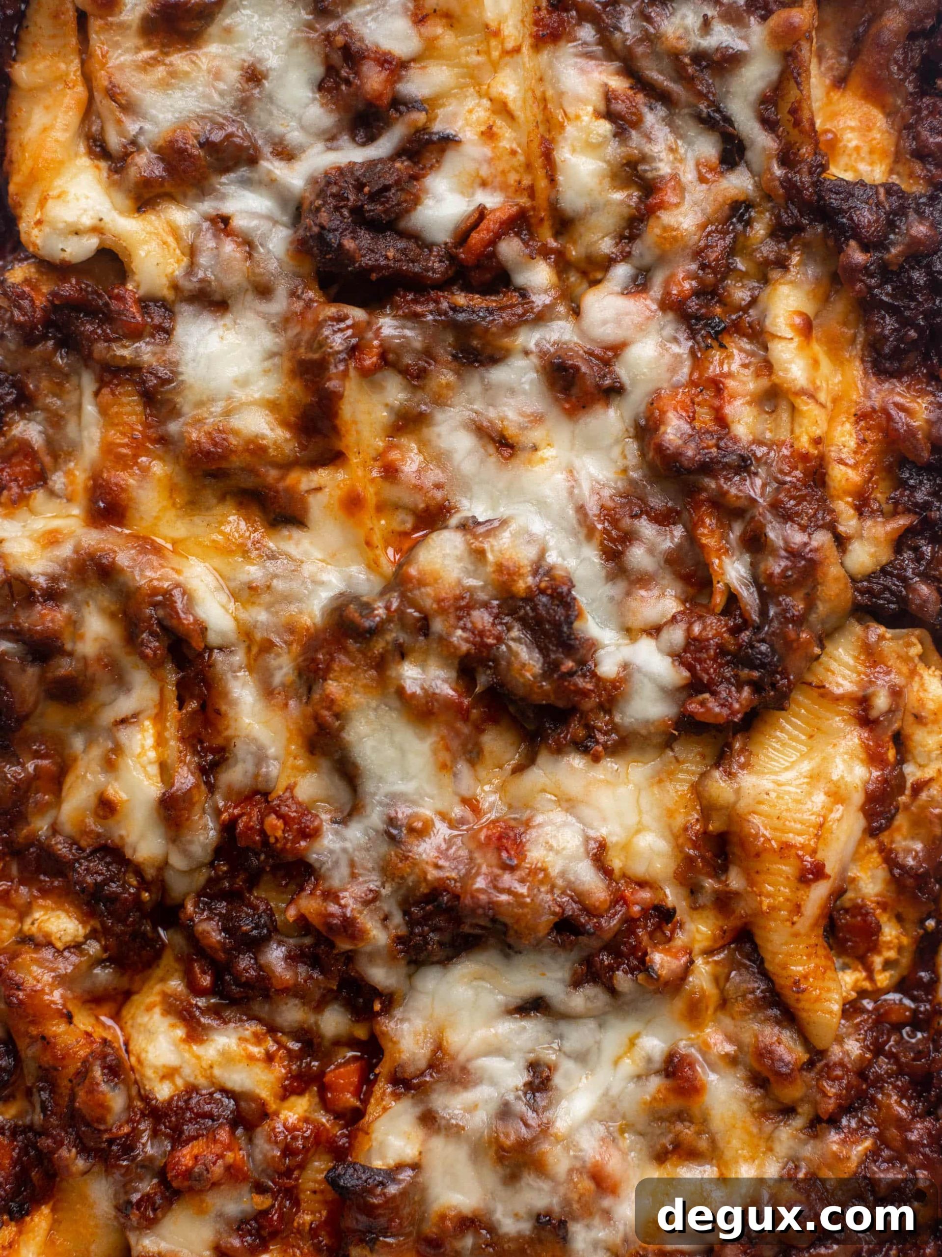 short rib stuffed shells