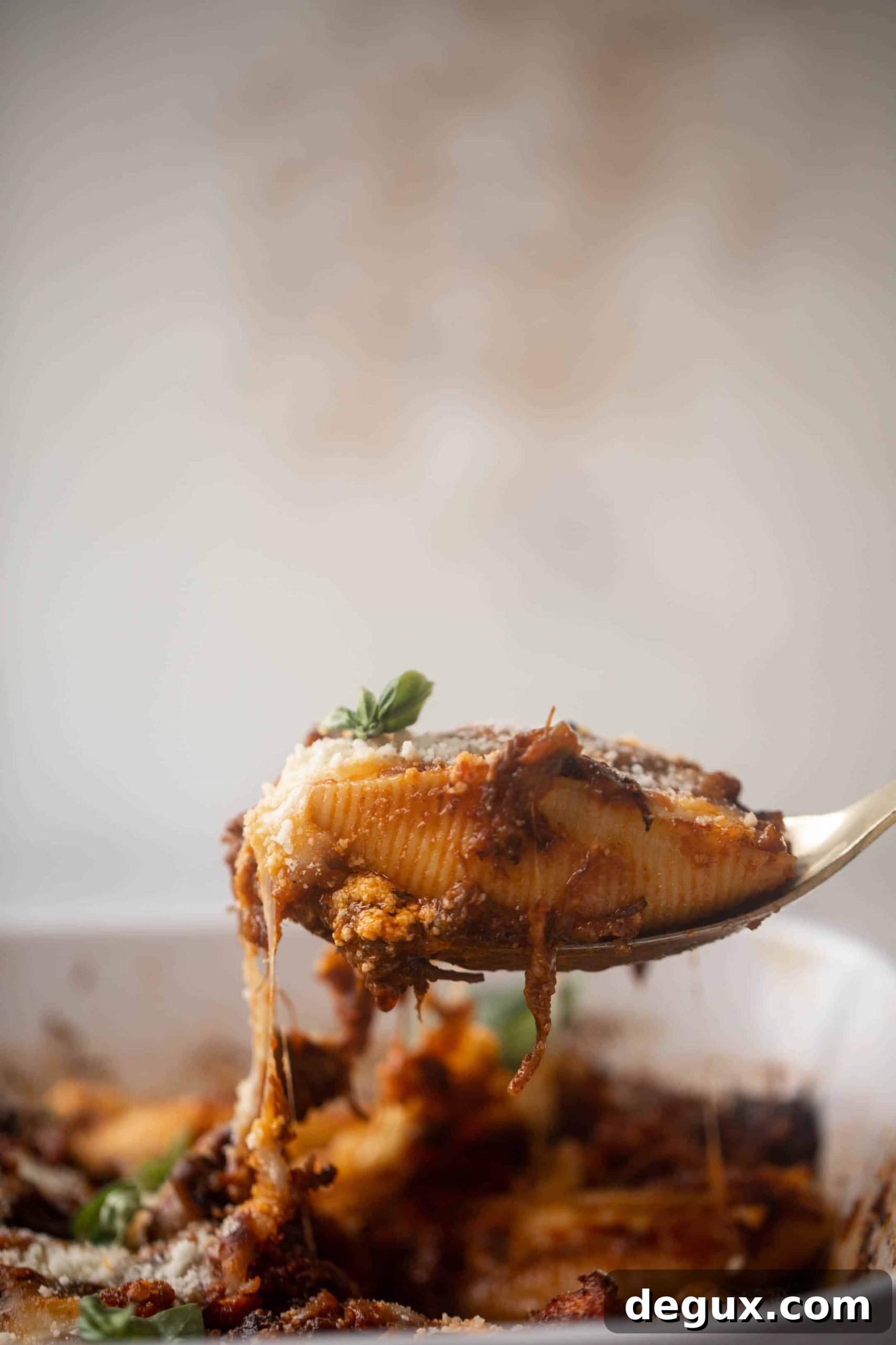 short rib stuffed shells