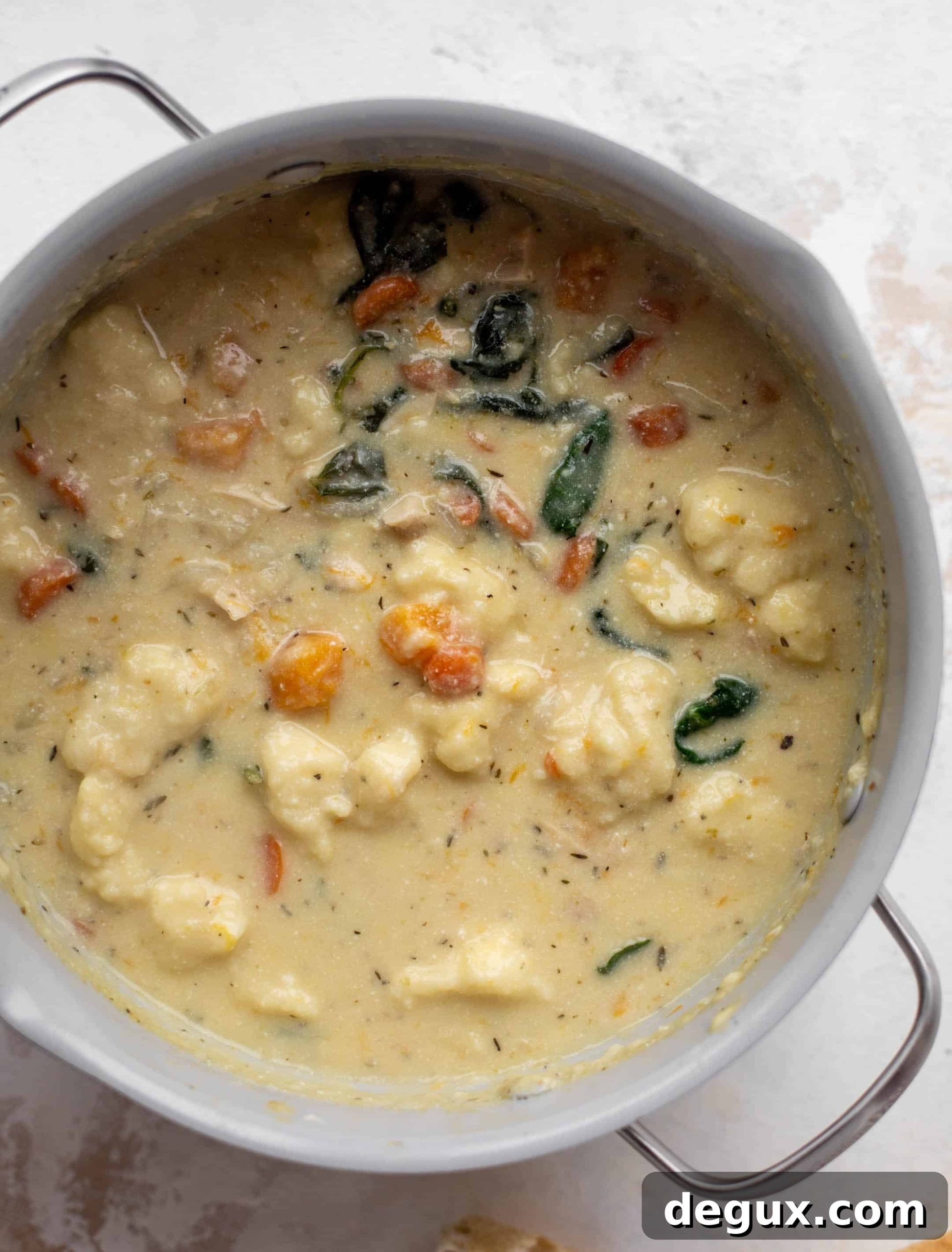 winter chicken soup with ricotta dumplings