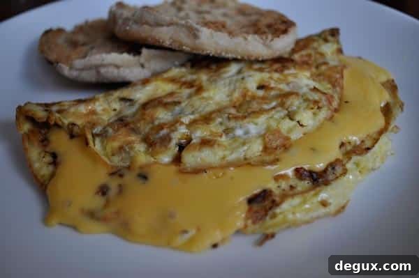 Caramelized Apple and Cheddar Omelet