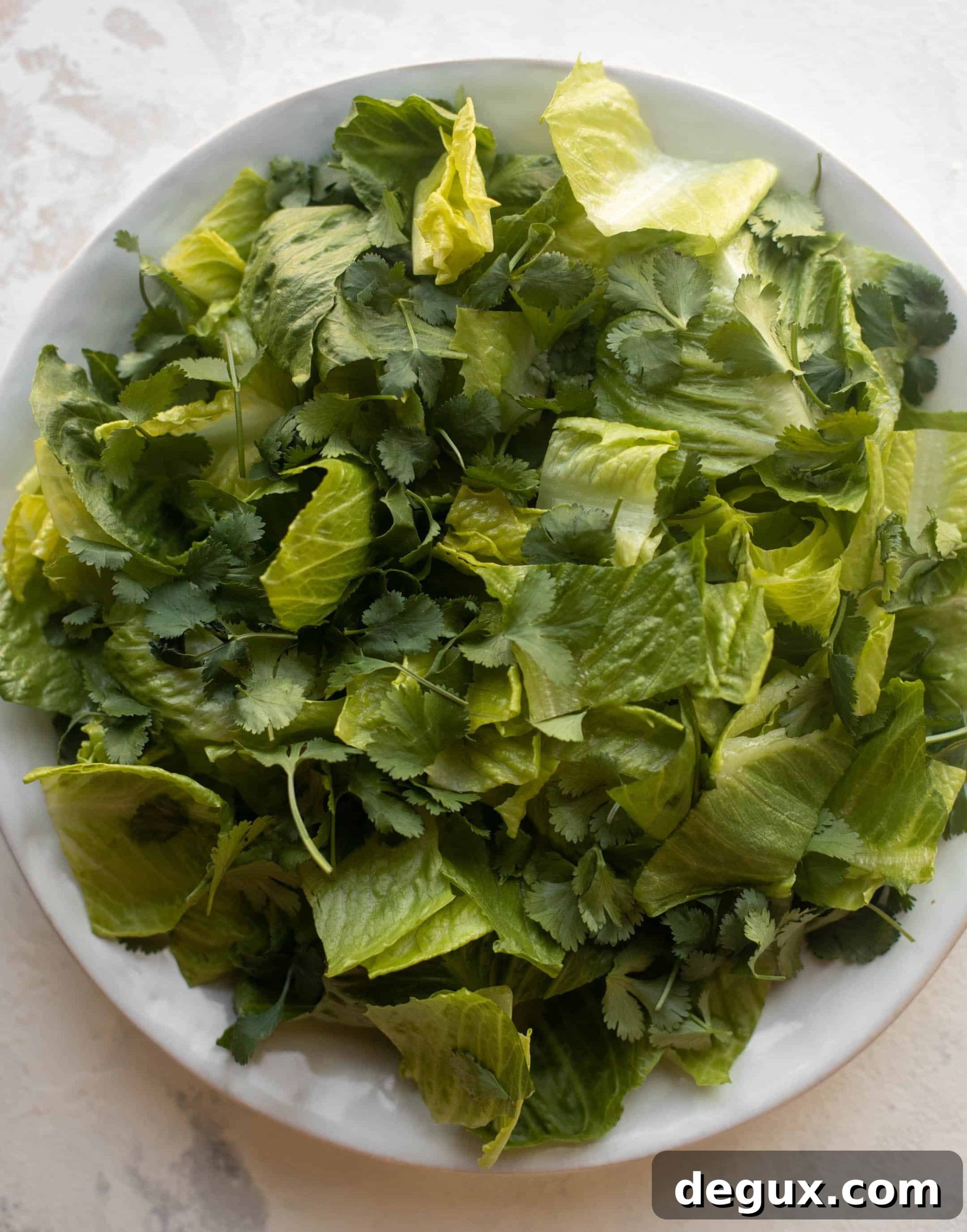shredded lettuce and cilantro