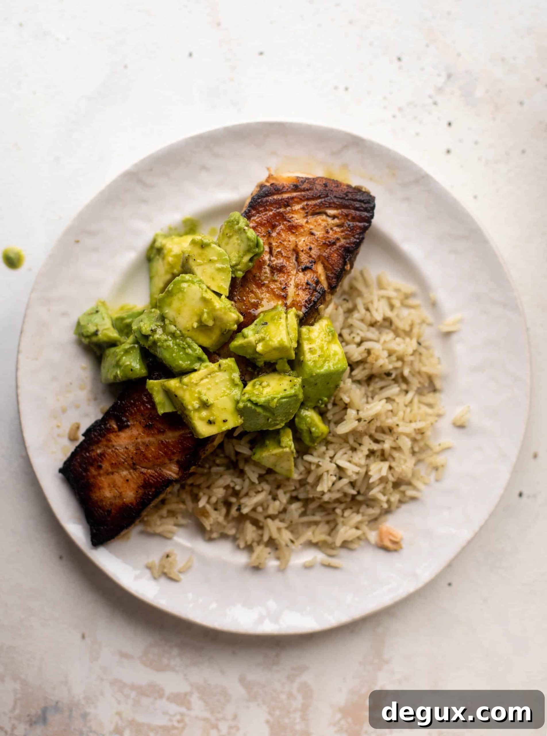 cilantro lime salmon and rice