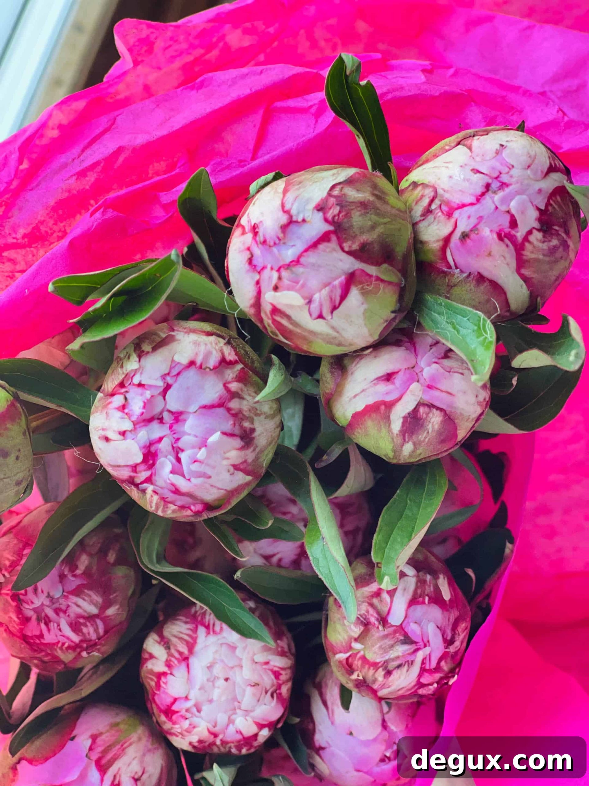 Currently Crushing On: Who I'm Obsessed With Right Now 2 img 87322 1 scaled