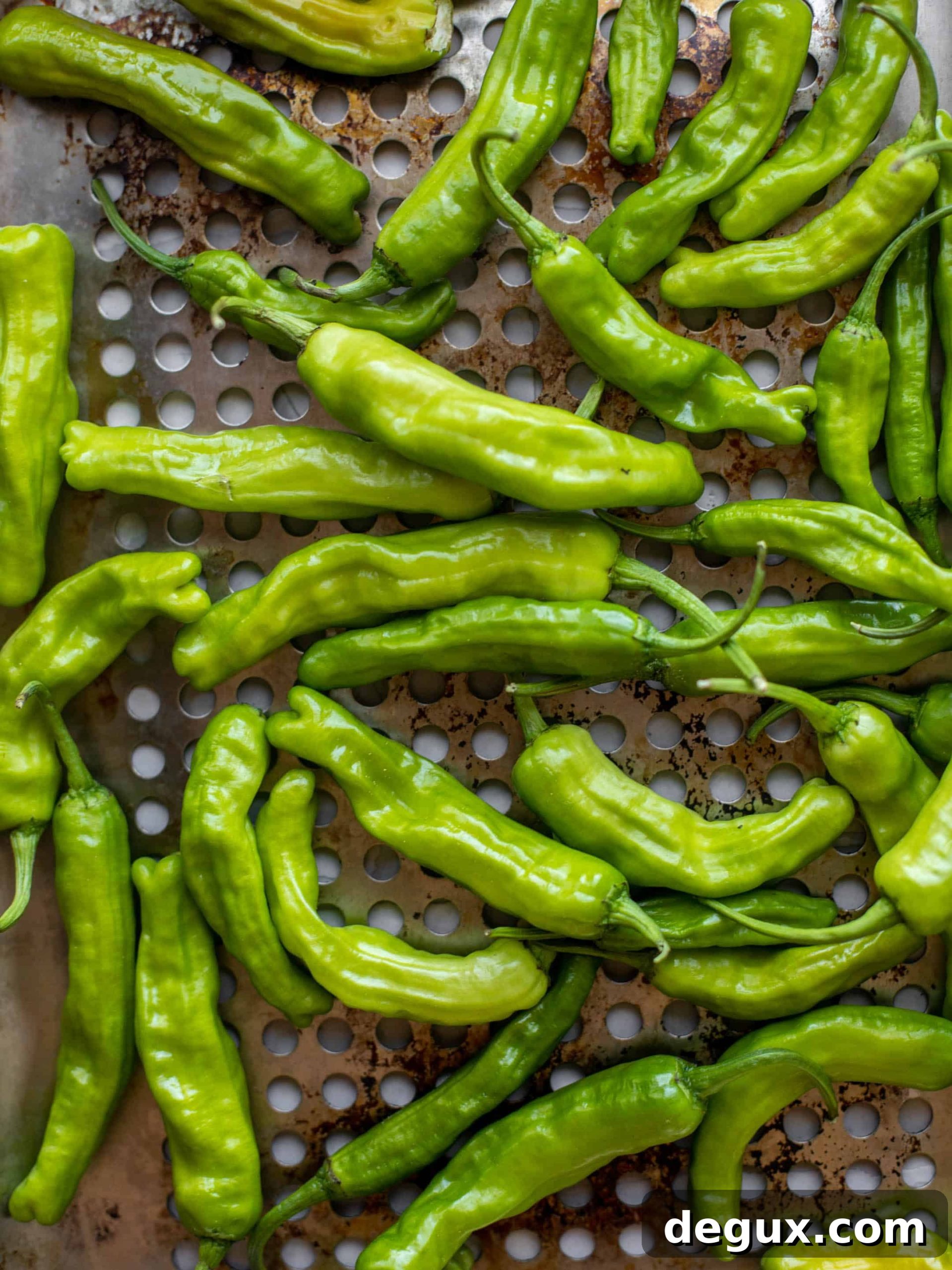 grilled shishito peppers