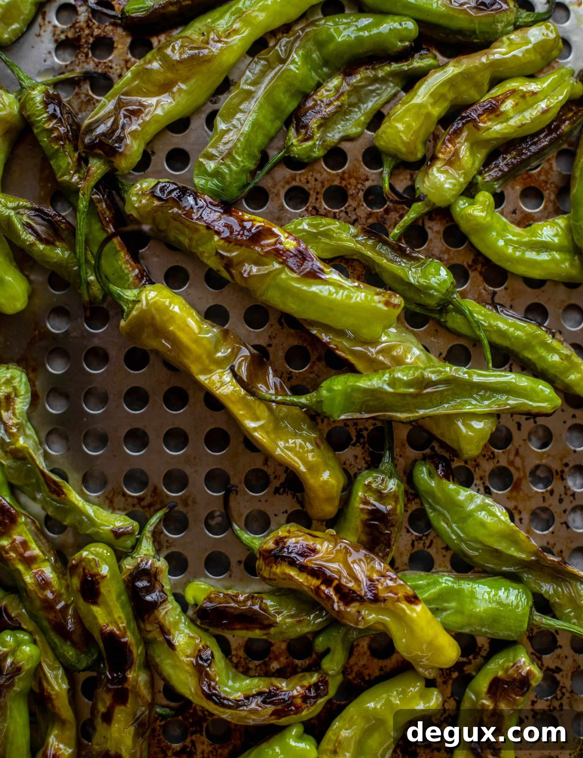 grilled shishito peppers