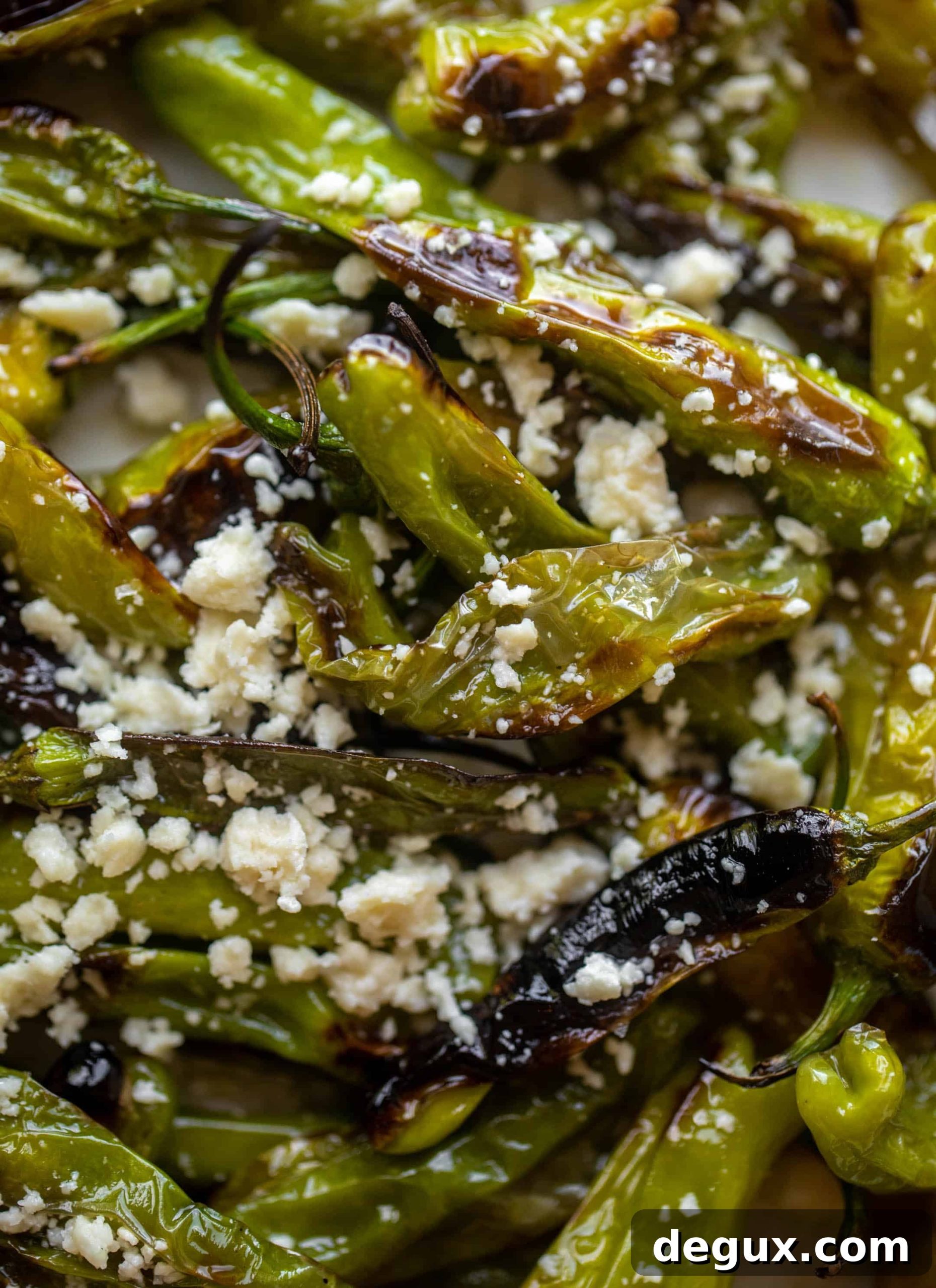 grilled shishito peppers