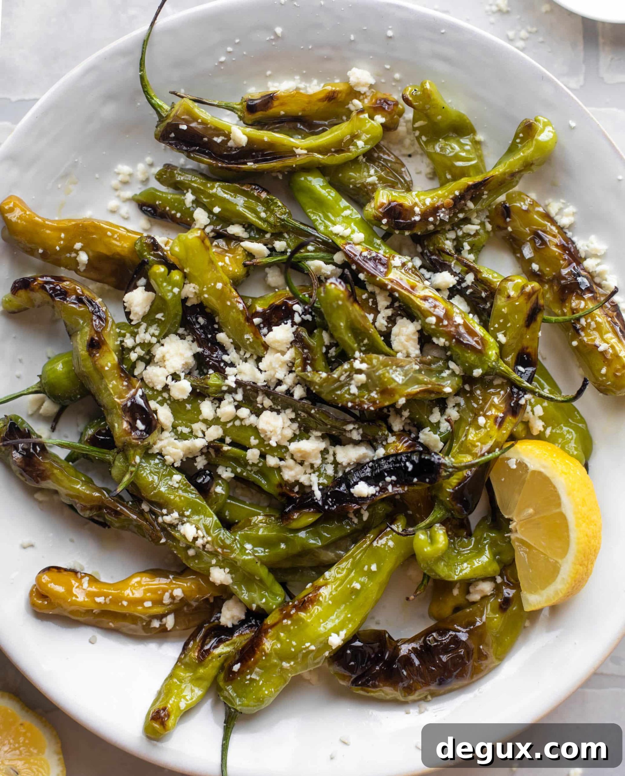 grilled shishito peppers
