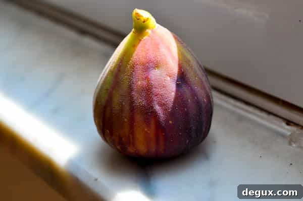 Shop-7 dried figs