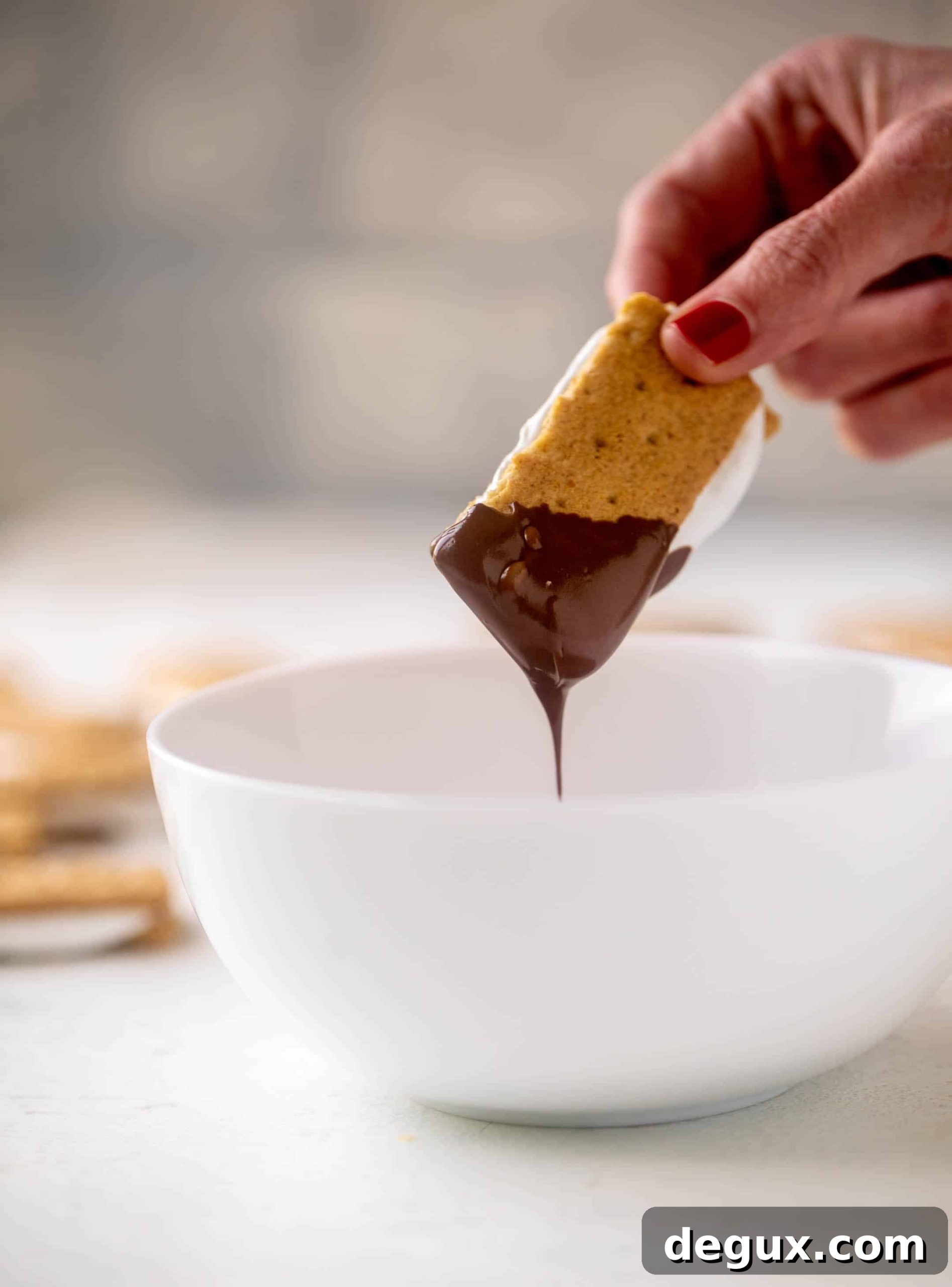 s'mores bites