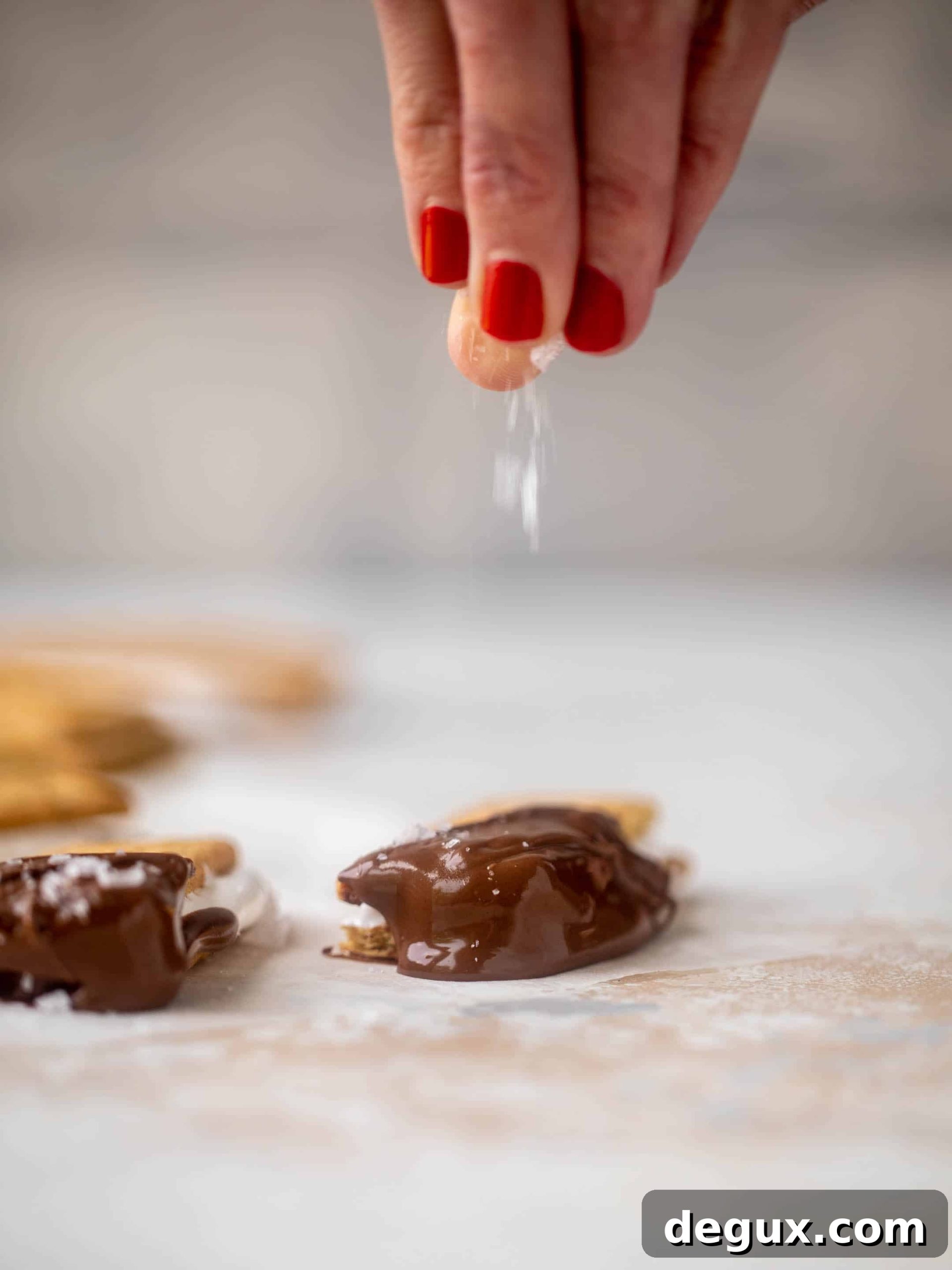 s'mores bites