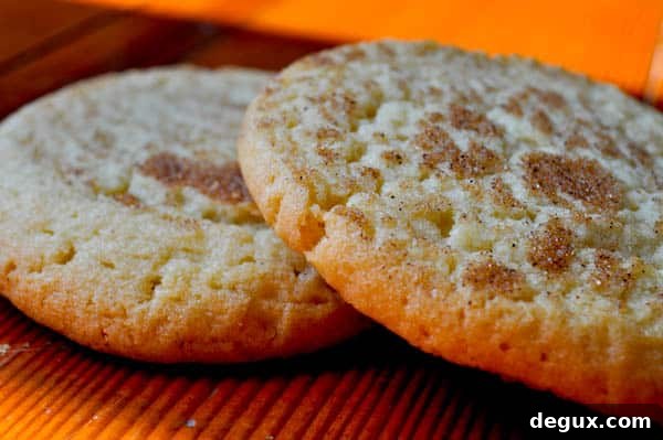 Snick-1 Snickerdoodle peach milkshake