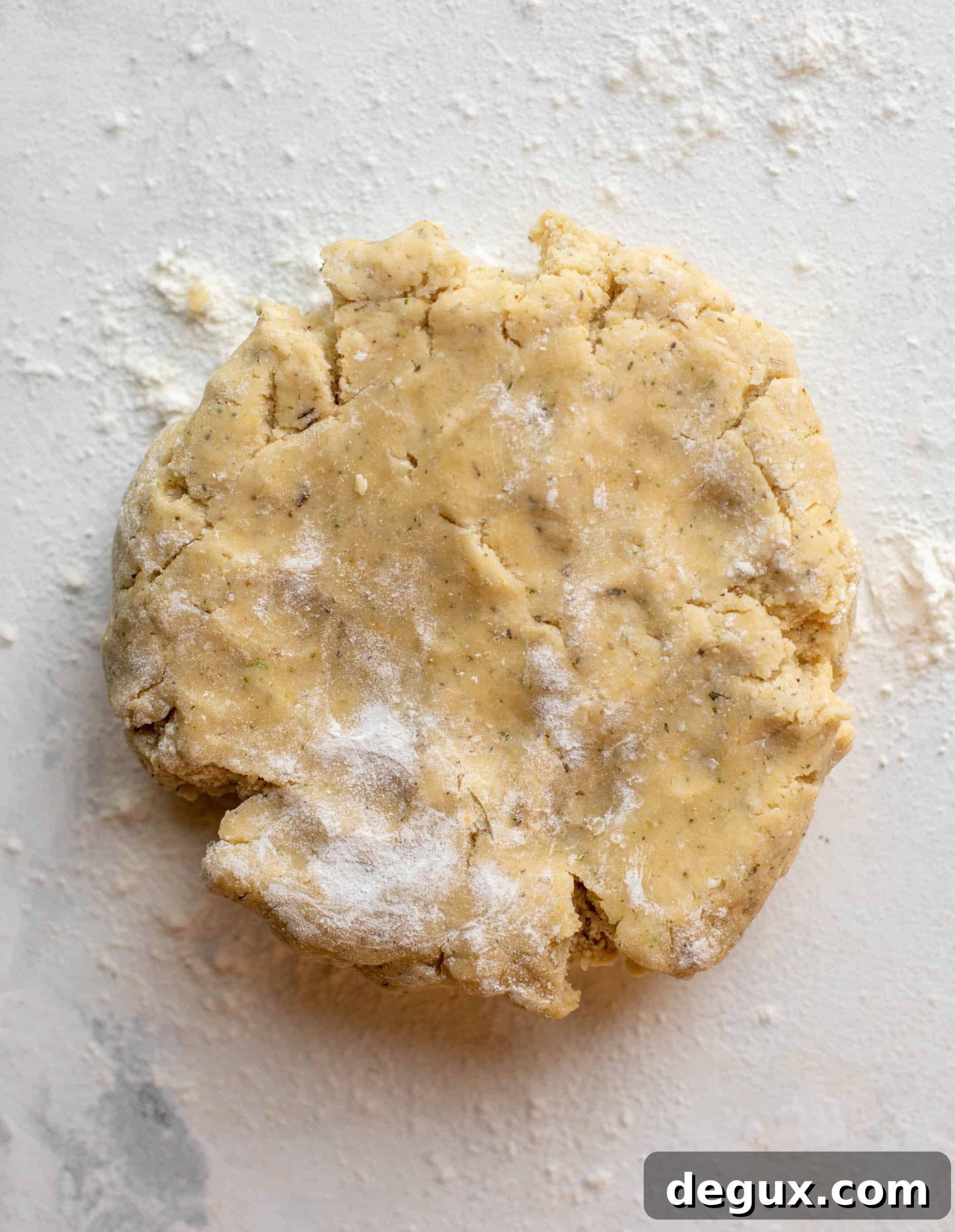 Rustic Tomato Galette Recipe: Flaky Savory Pie for Summer 3 galette dough
